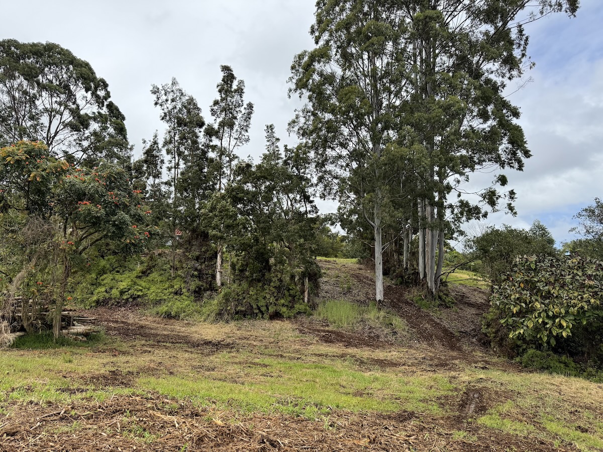 1951 Kaiwiki Rd Property Photo 16
