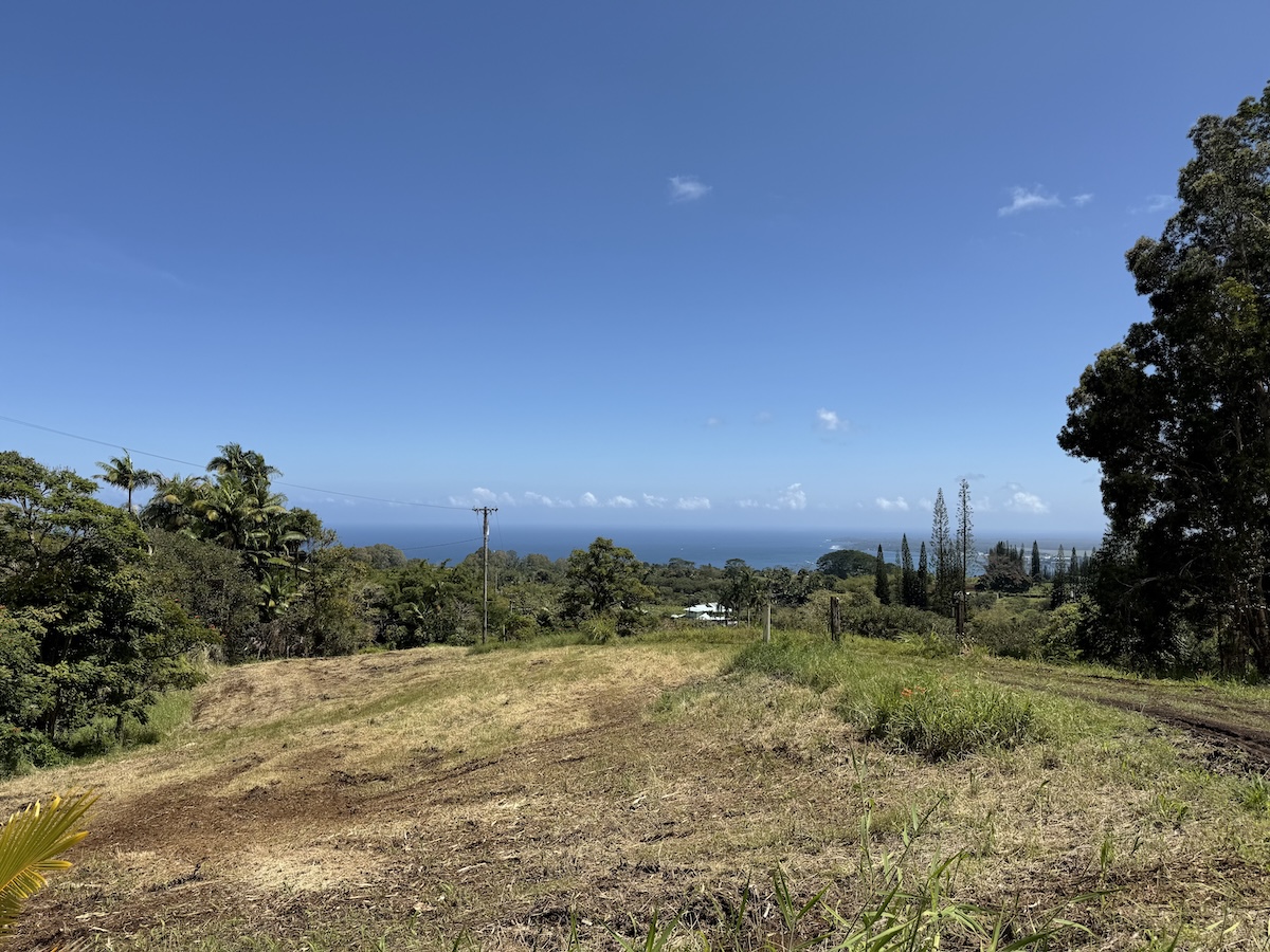 1951 Kaiwiki Rd Property Photo 26