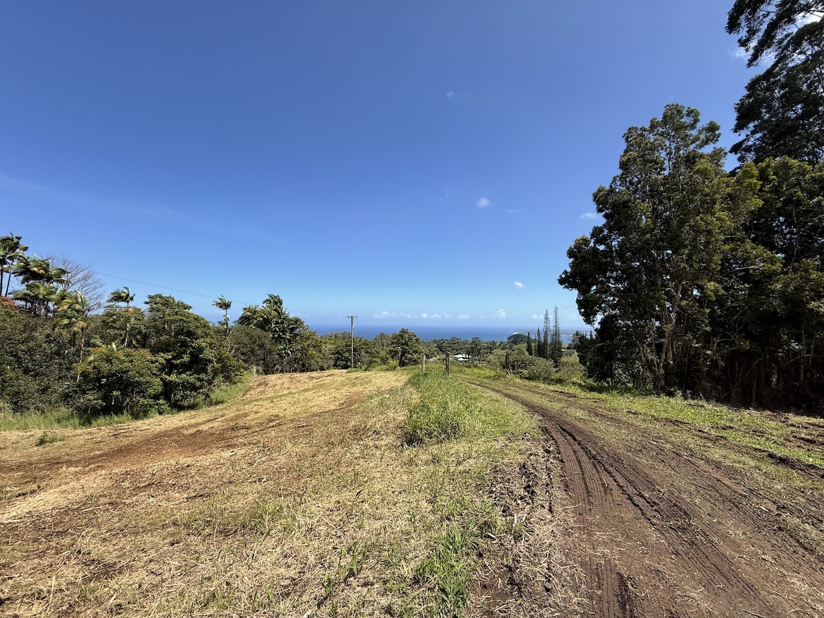 1951 Kaiwiki Rd Property Photo 27