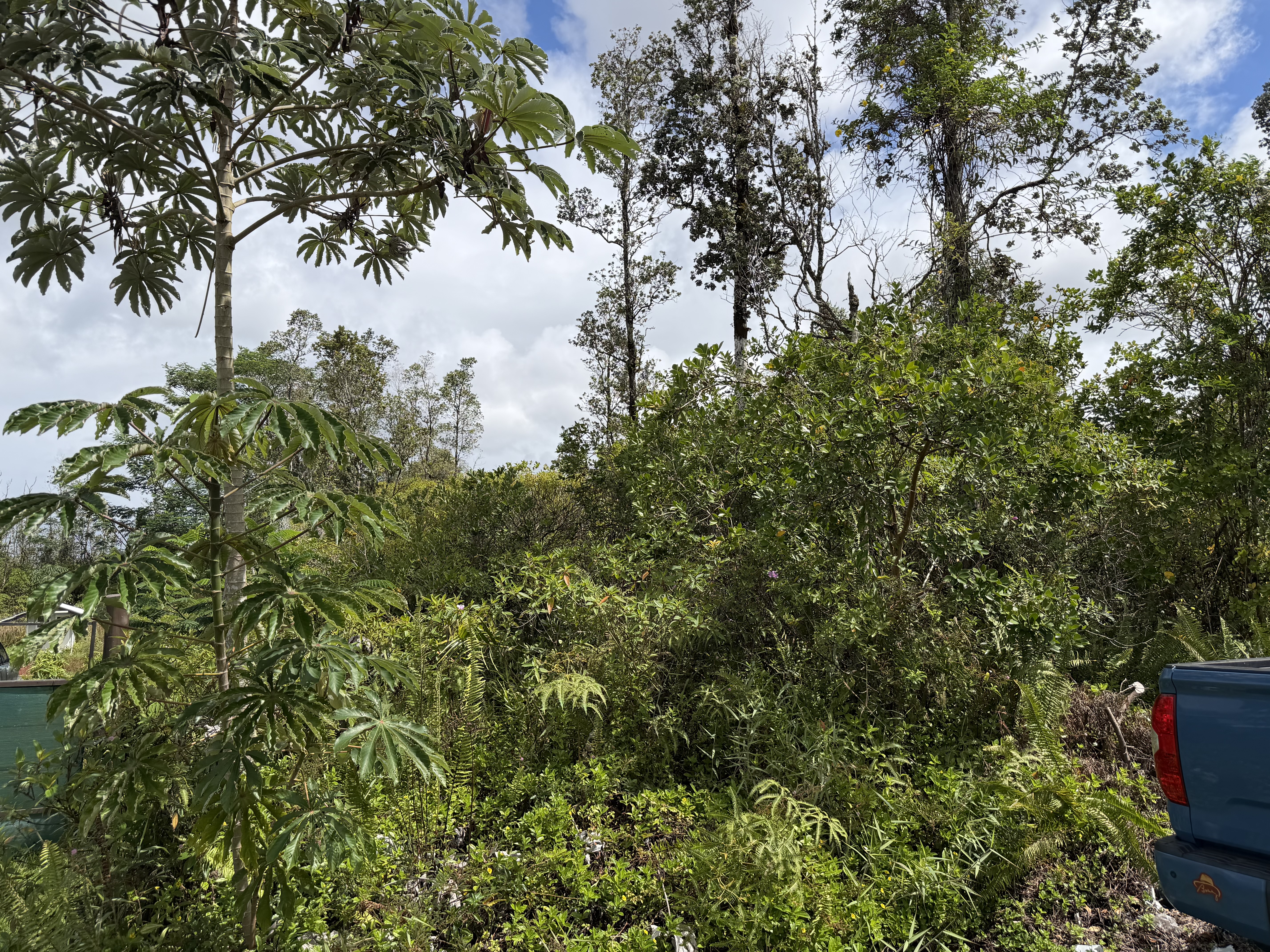 Silveroak Dr Property Photo 1