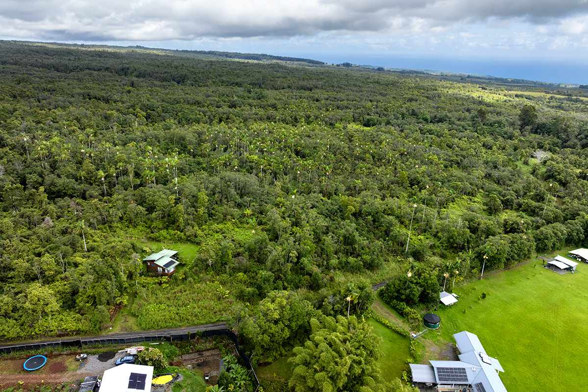 Kaiwiki Rd Property Photo 5