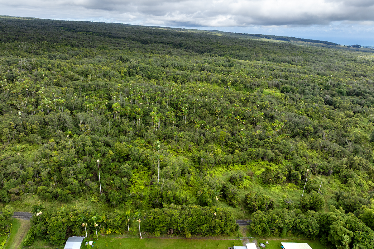 Kaiwiki Rd Property Photo 6