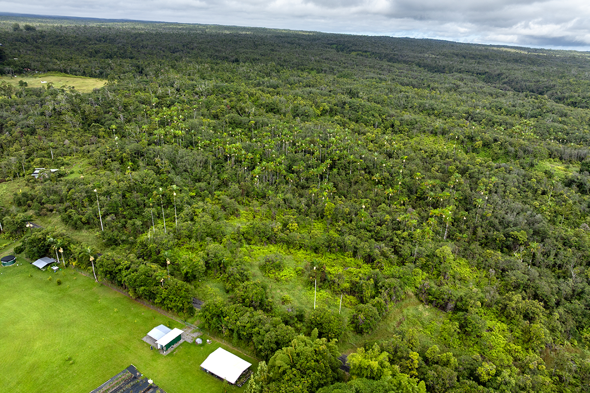 Kaiwiki Rd Property Photo 7