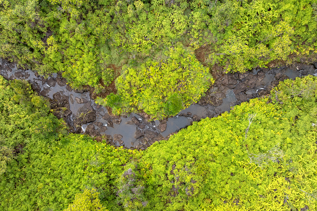 Kaiwiki Rd Property Photo 10