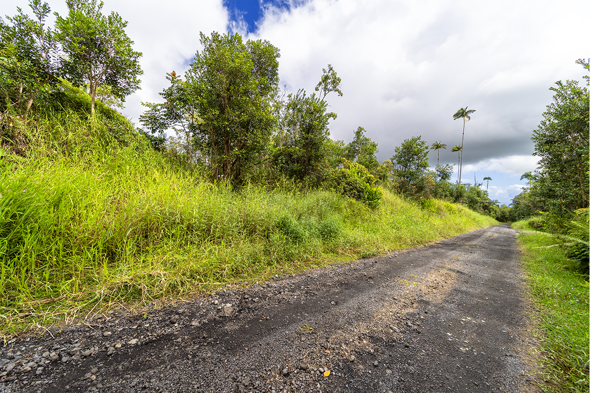 Kaiwiki Rd Property Photo 12