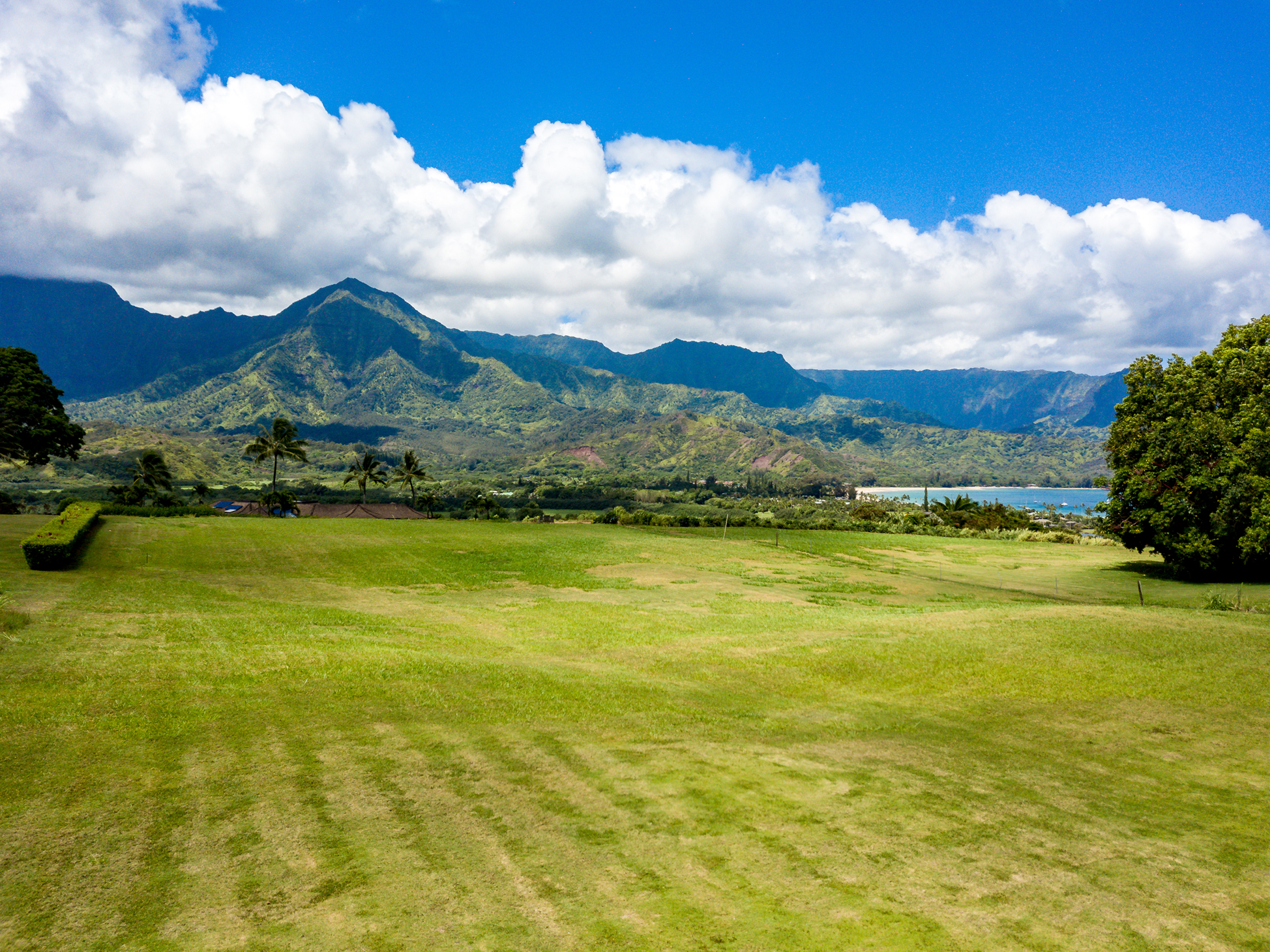 4901 Hanalei Plant Rd Property Photo 5