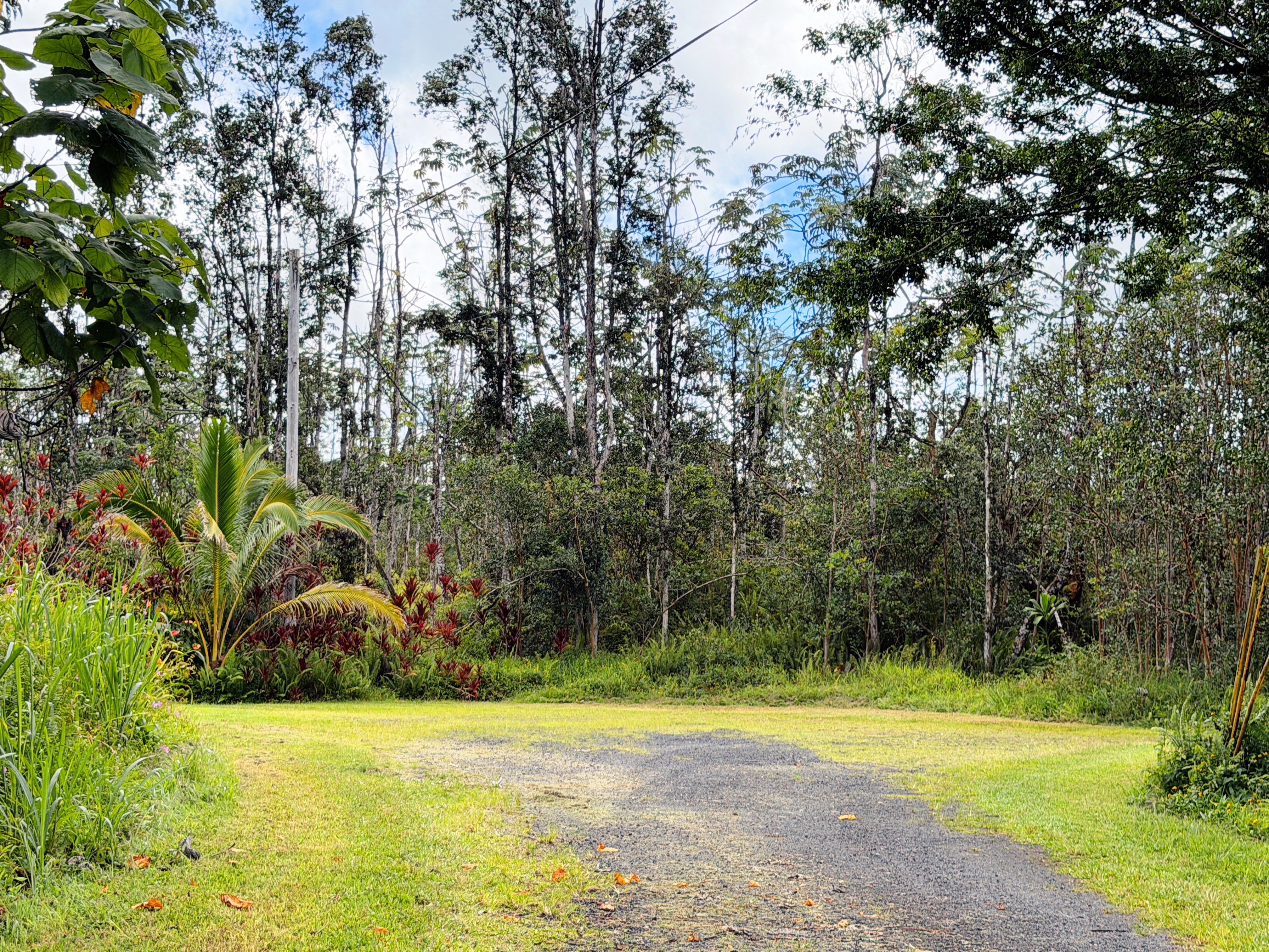 14-3509 Pahoa Circle Property Photo 3