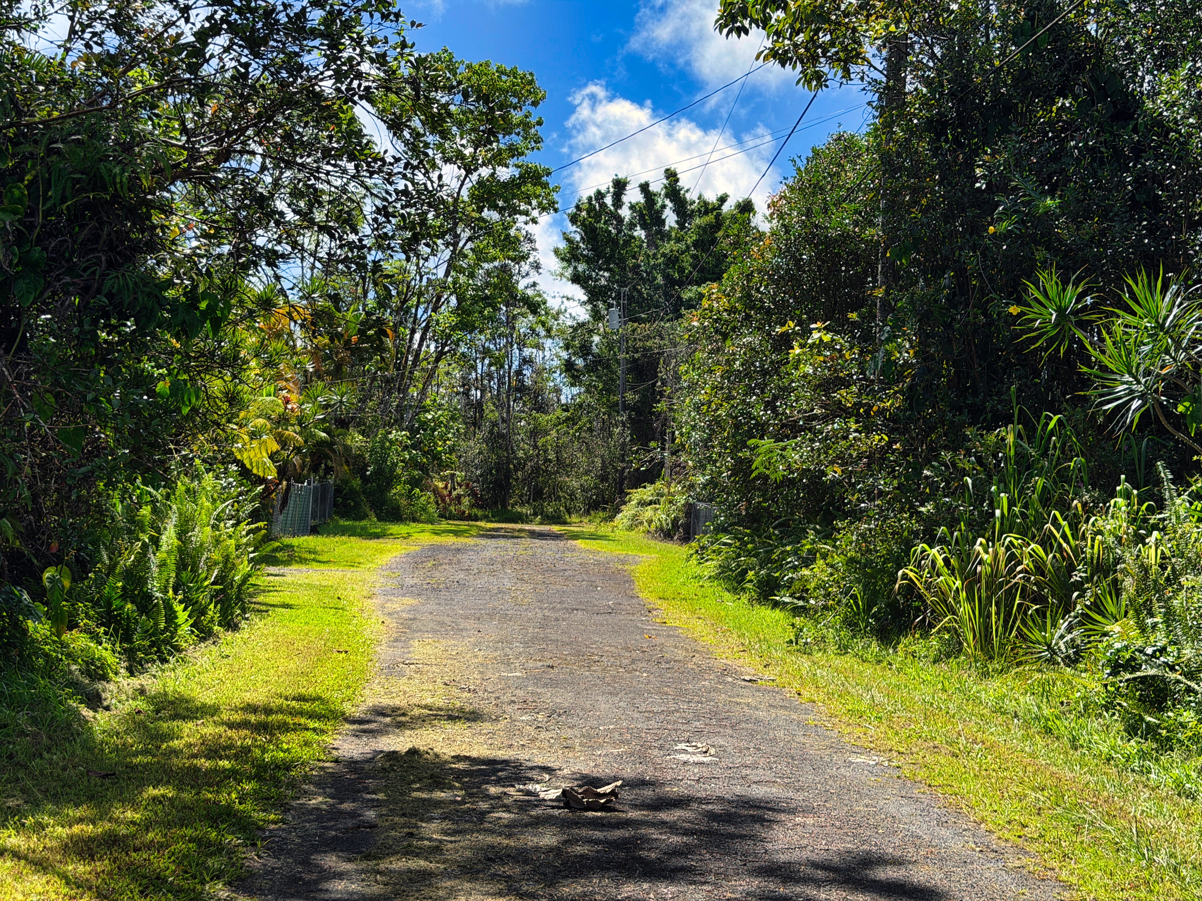 14-3509 Pahoa Circle Property Photo 24