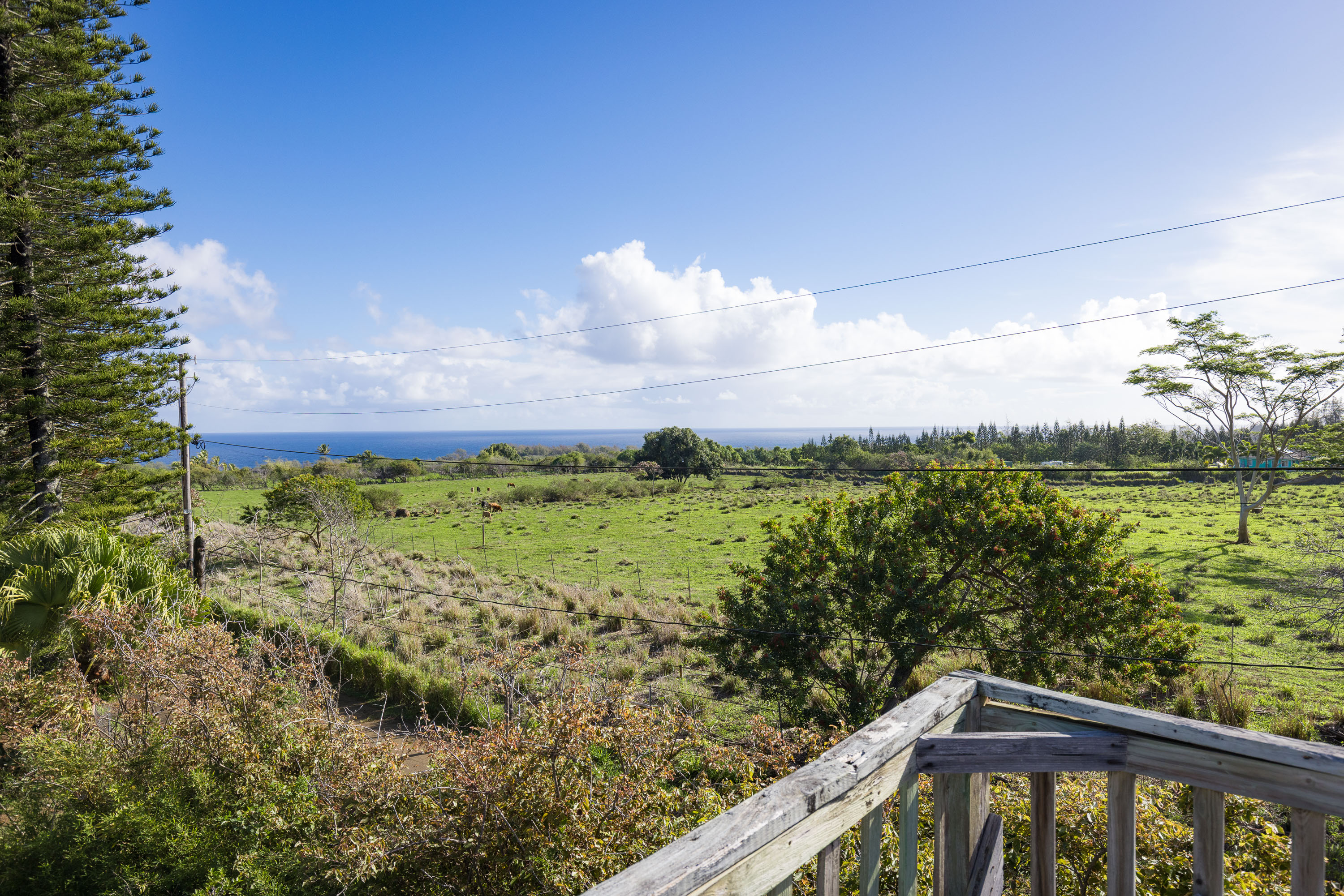 53-364 Kapanaia Rd A Property Photo 3