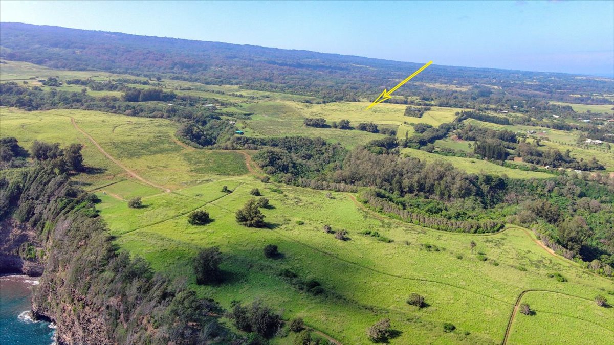 Akoni Pule Highway Property Photo 3