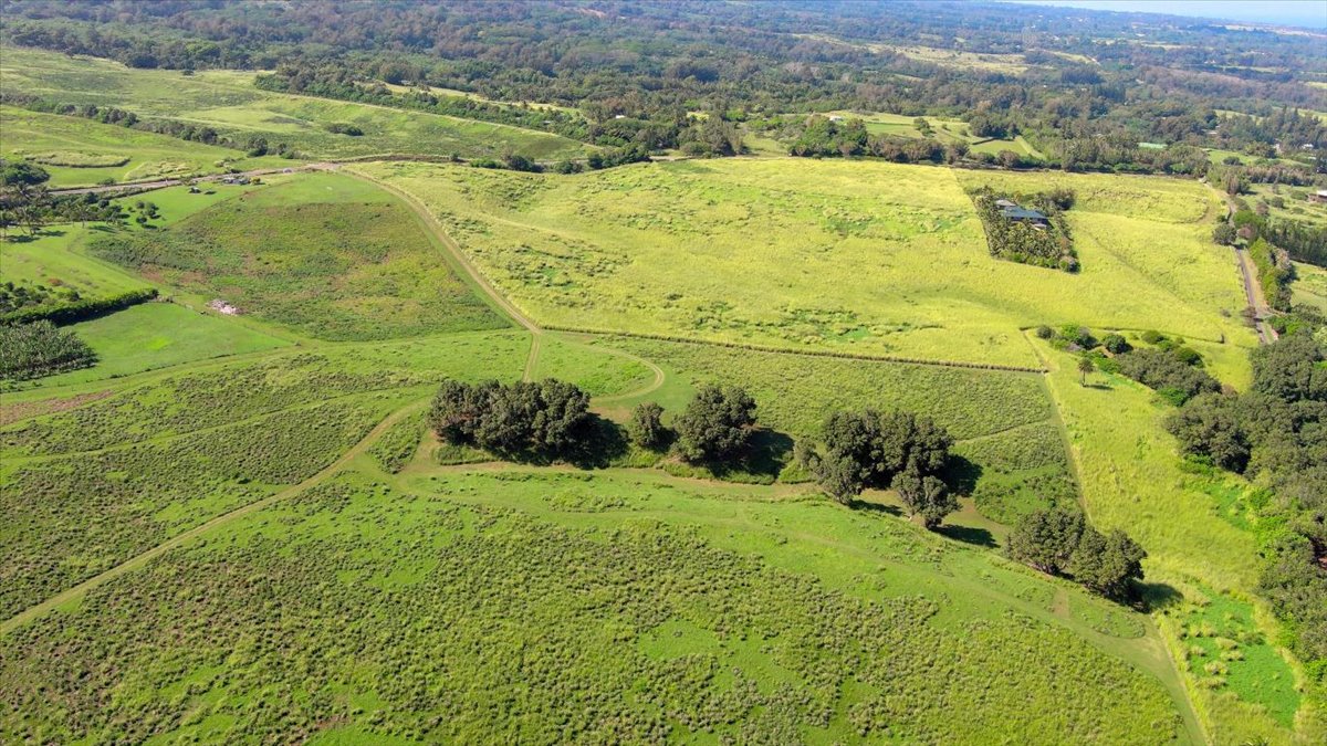 Akoni Pule Highway Property Photo 4
