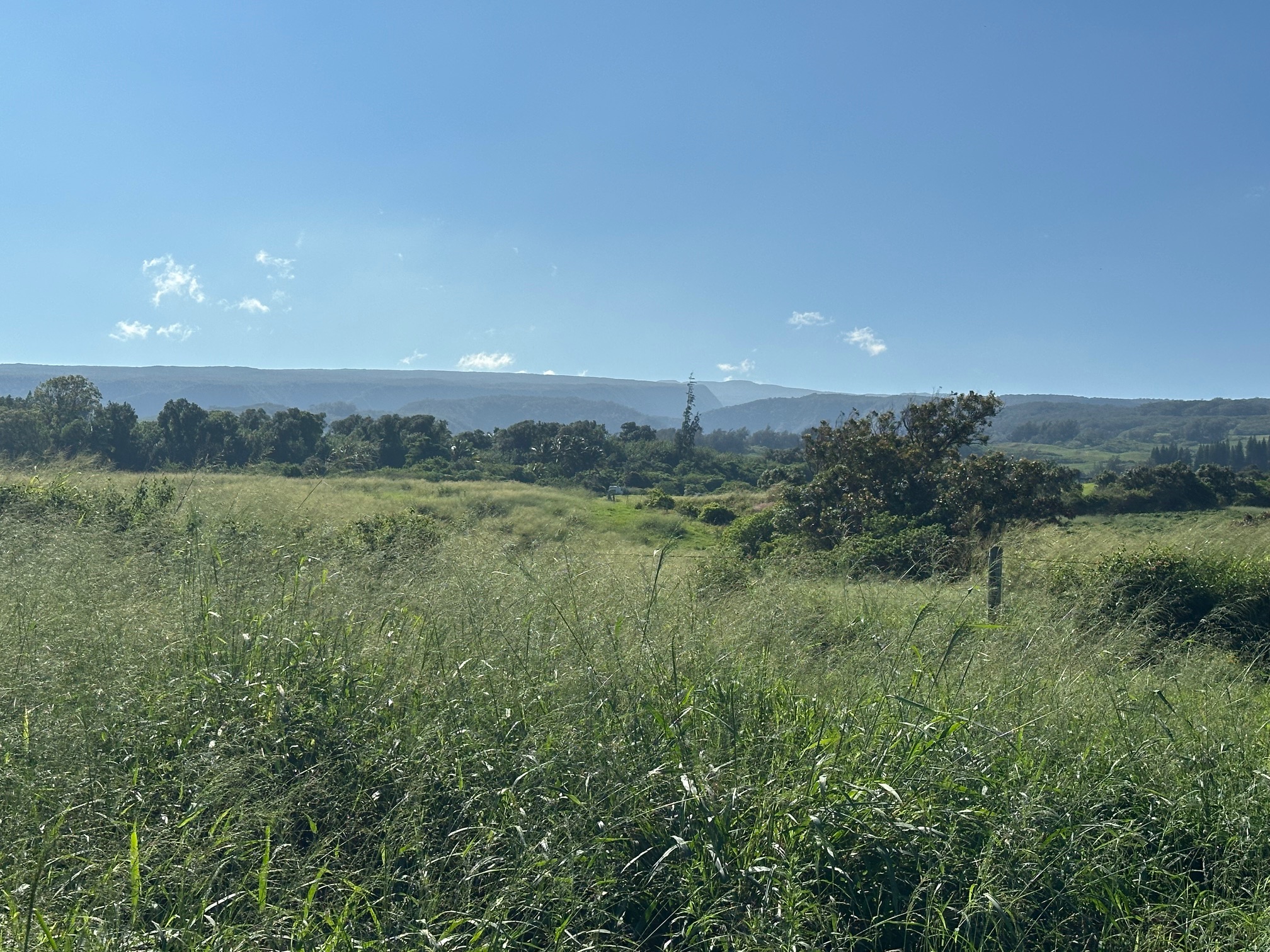 Akoni Pule Highway Property Photo 7