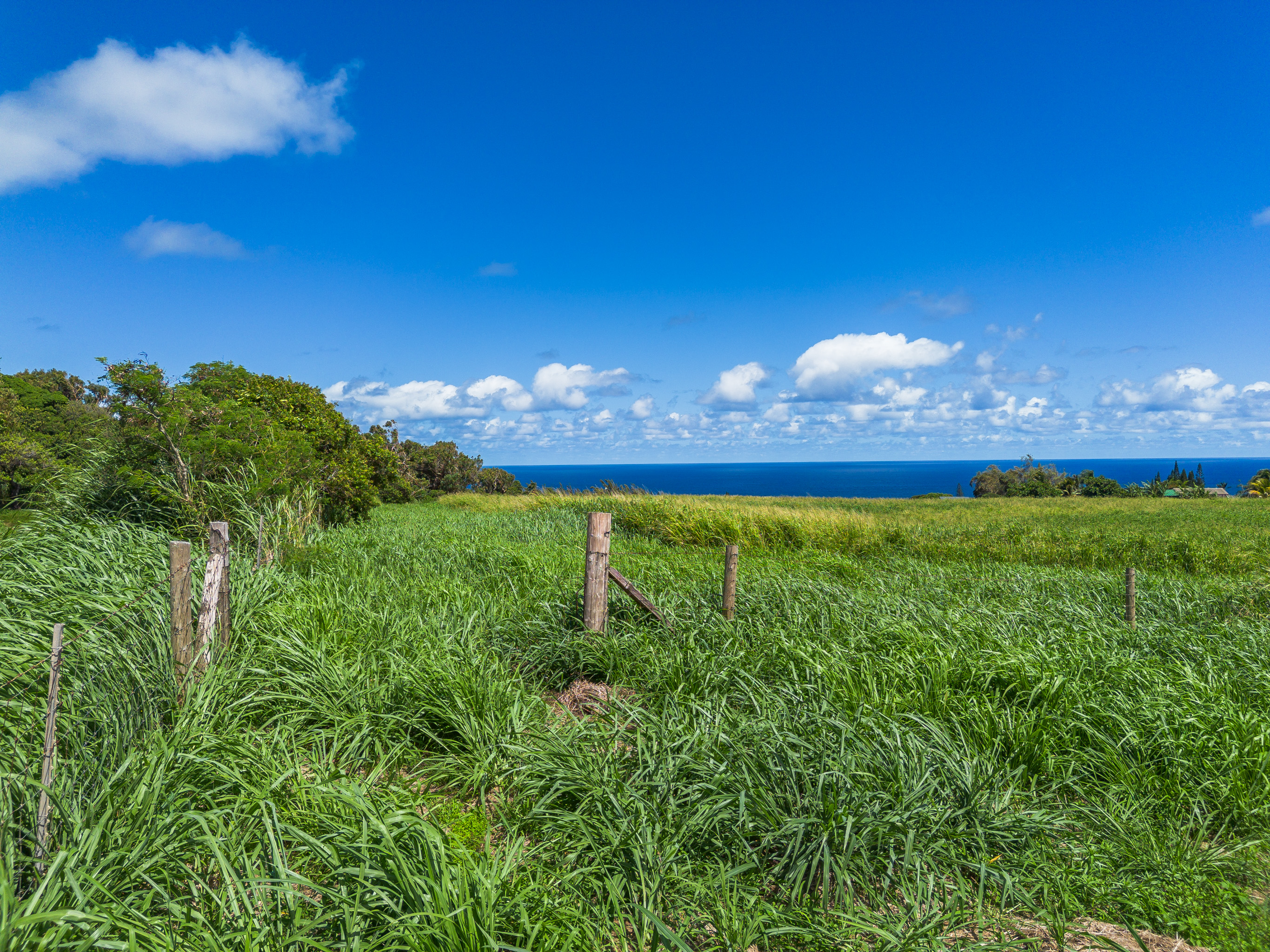 Akoni Pule Highway Property Photo 15