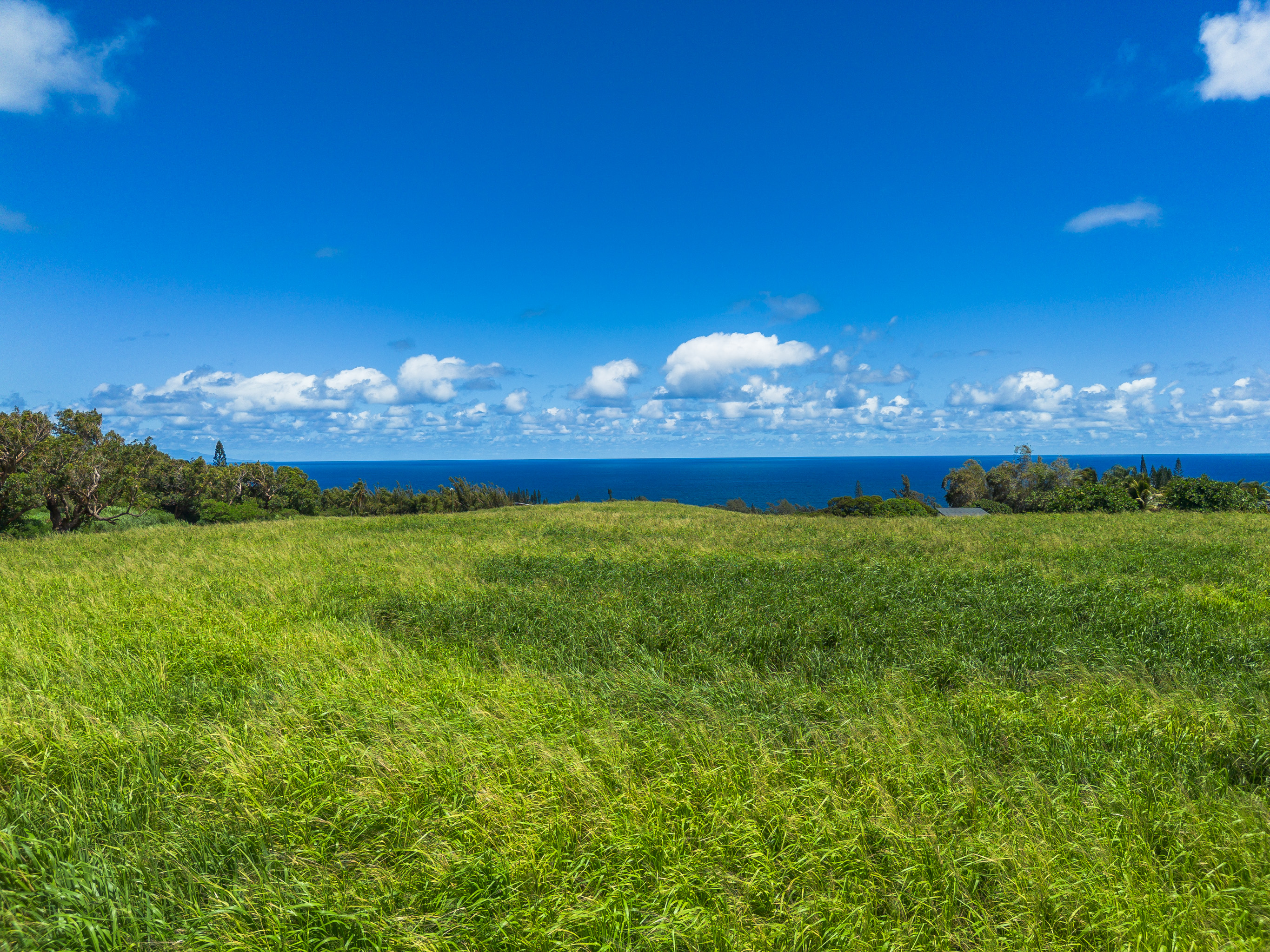 Akoni Pule Highway Property Photo 16