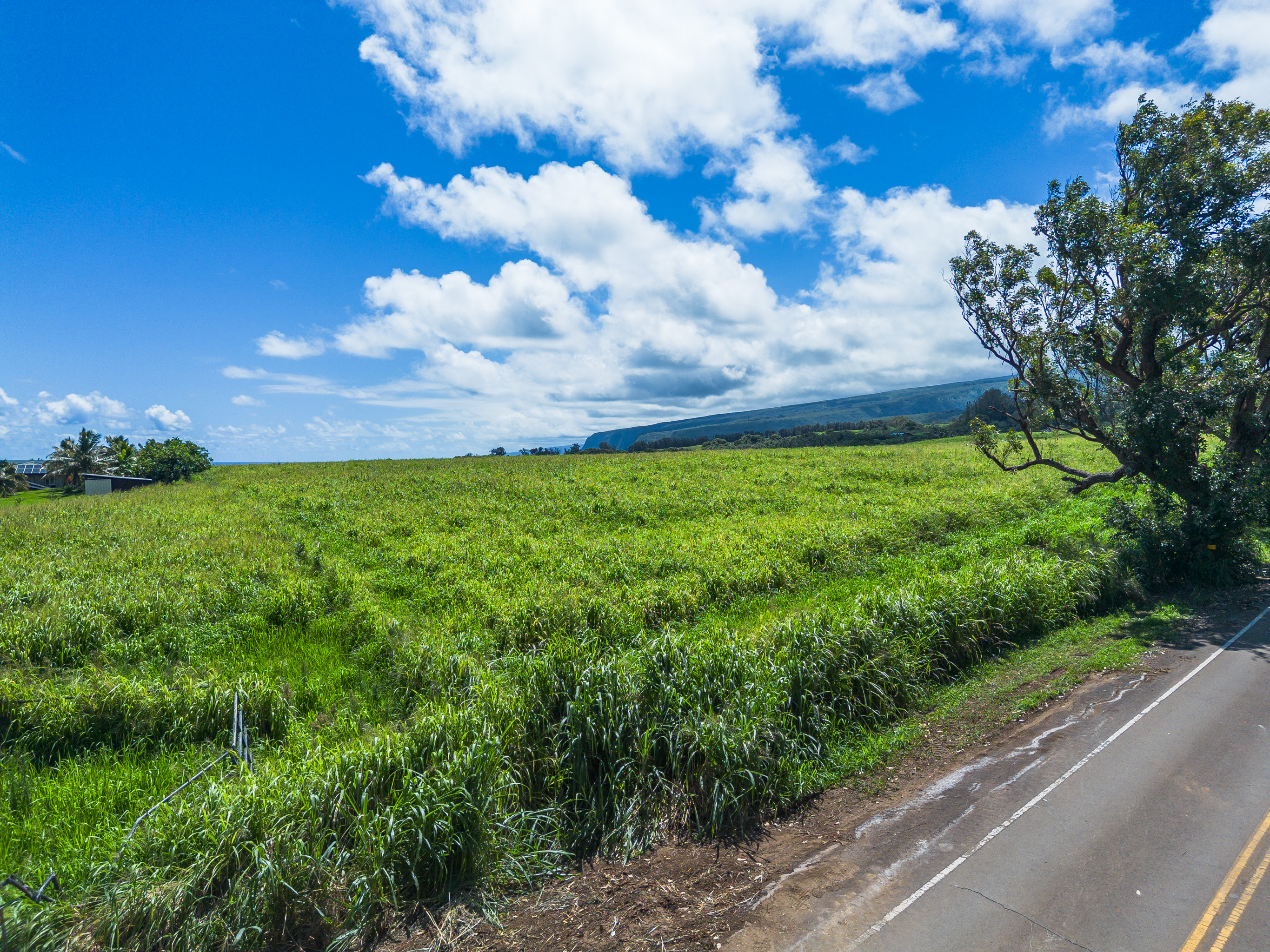 Akoni Pule Highway Property Photo 17