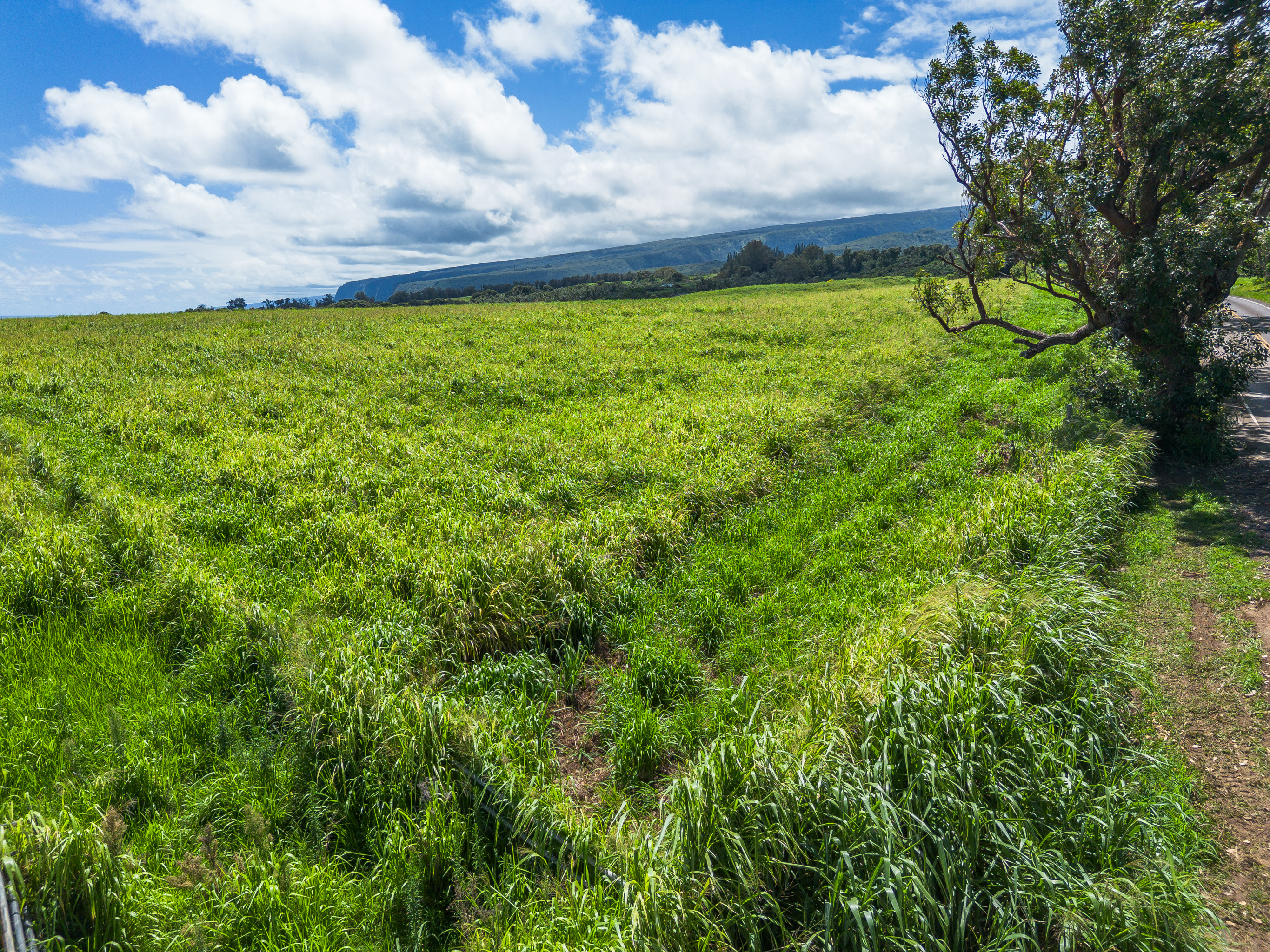 Akoni Pule Highway Property Photo 18