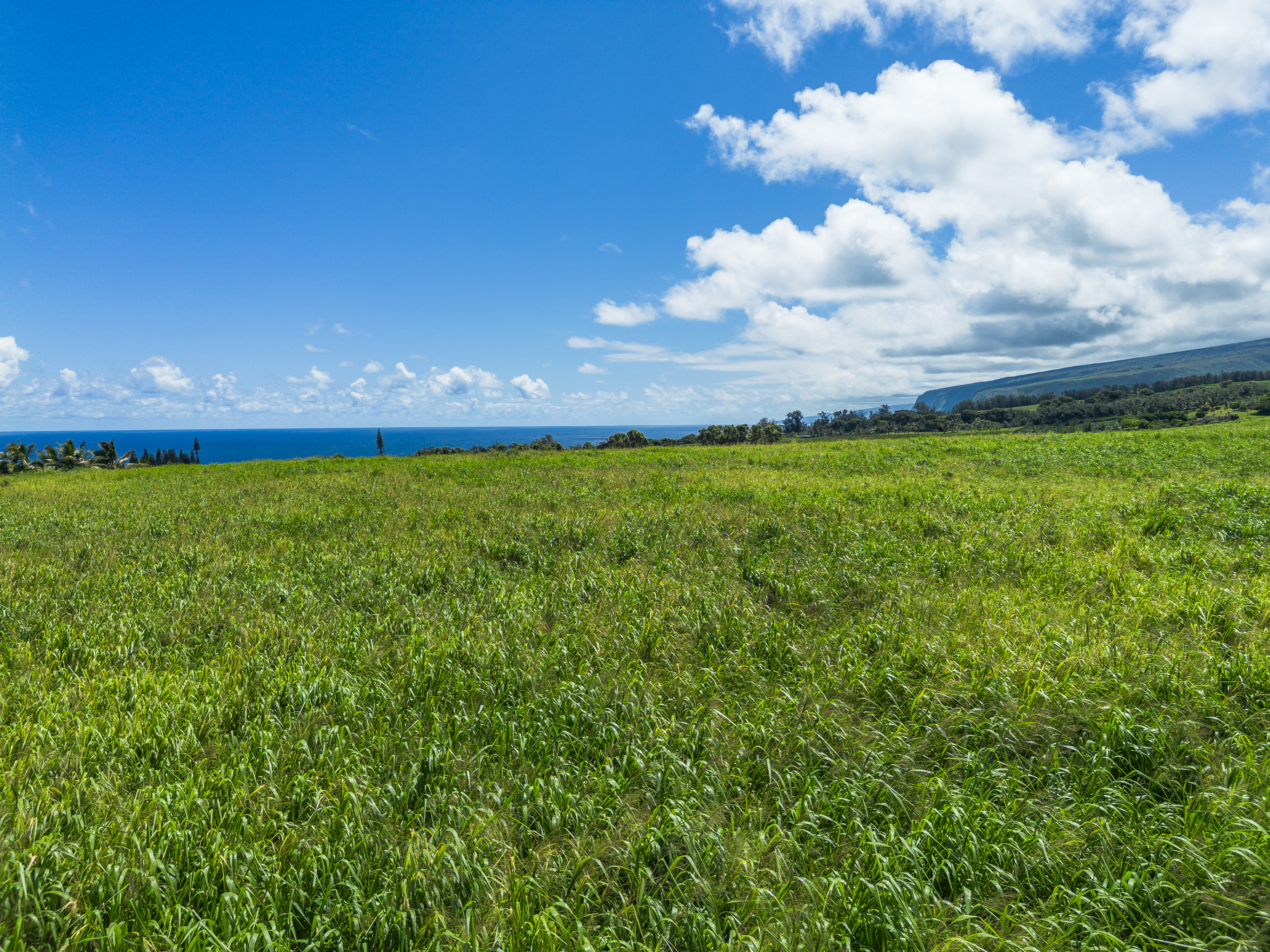 Akoni Pule Highway Property Photo 19