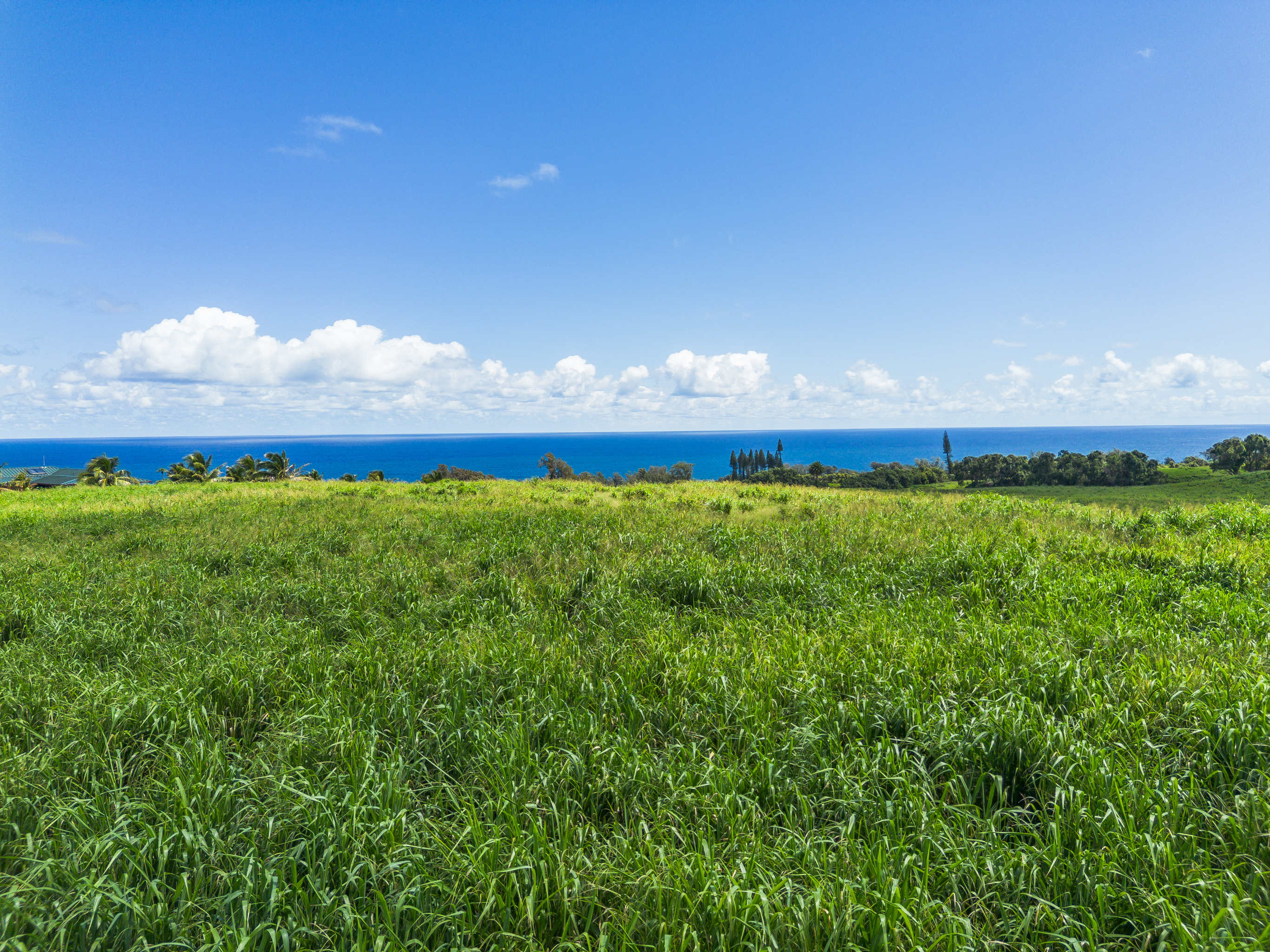 Akoni Pule Highway Property Photo 20