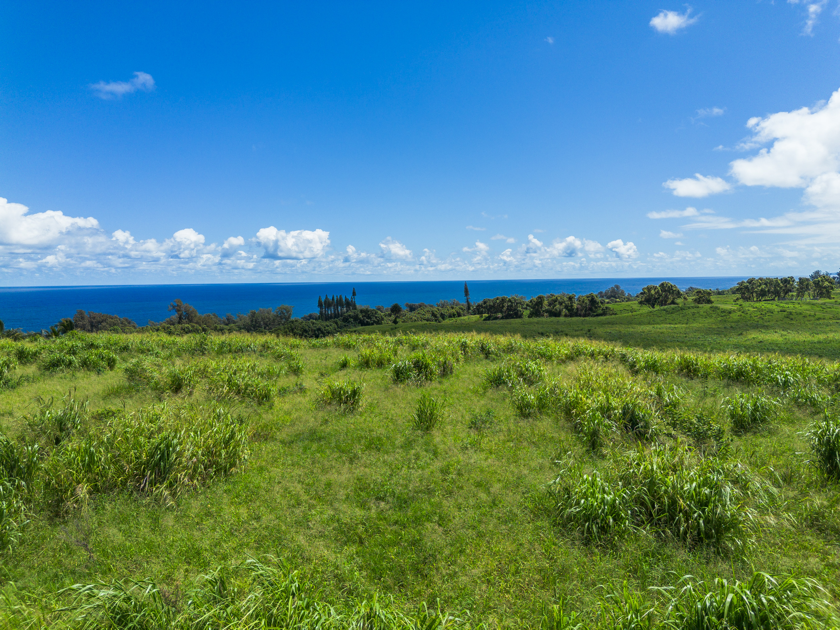 Akoni Pule Highway Property Photo 21