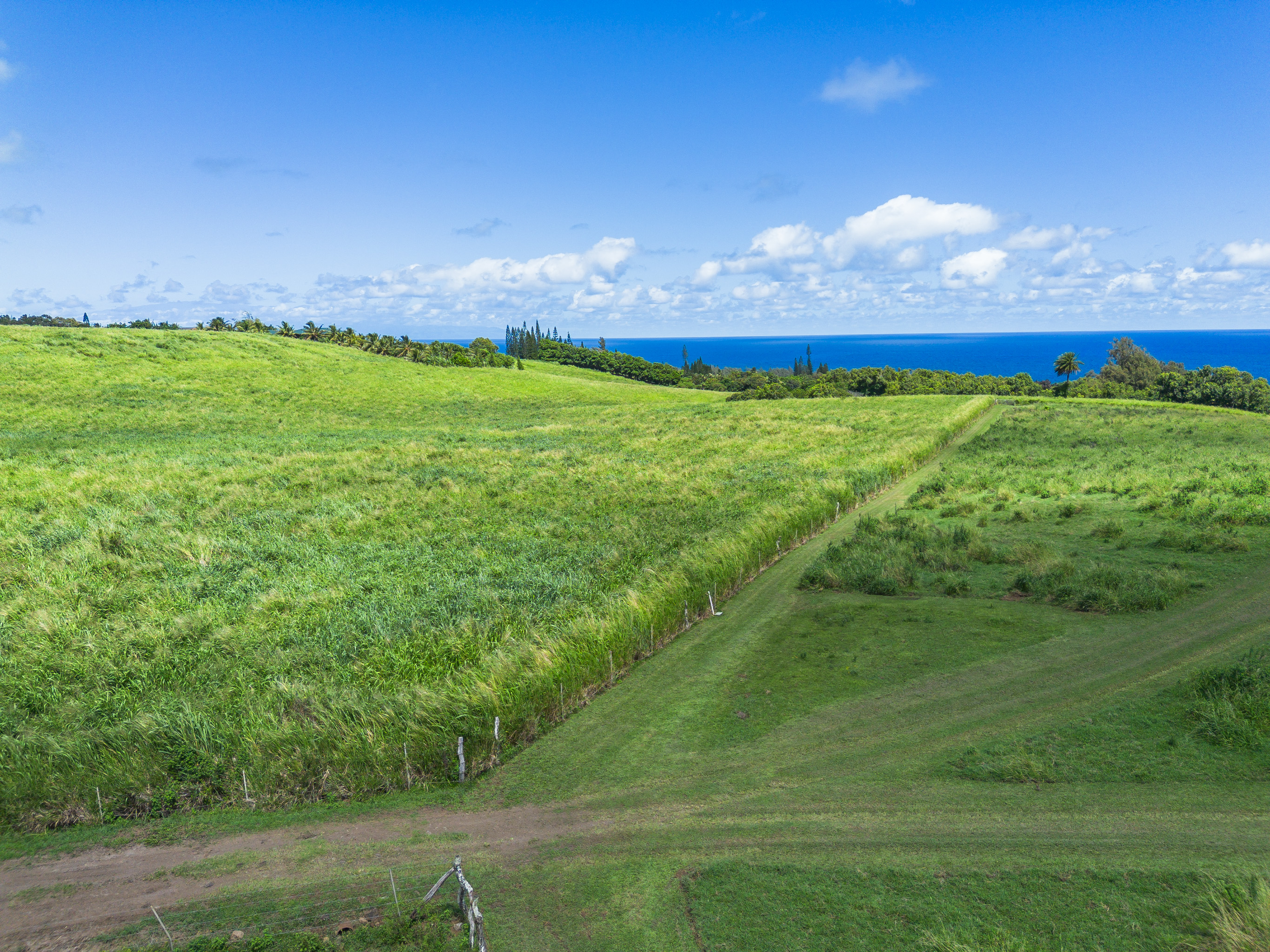 Akoni Pule Highway Property Photo 22