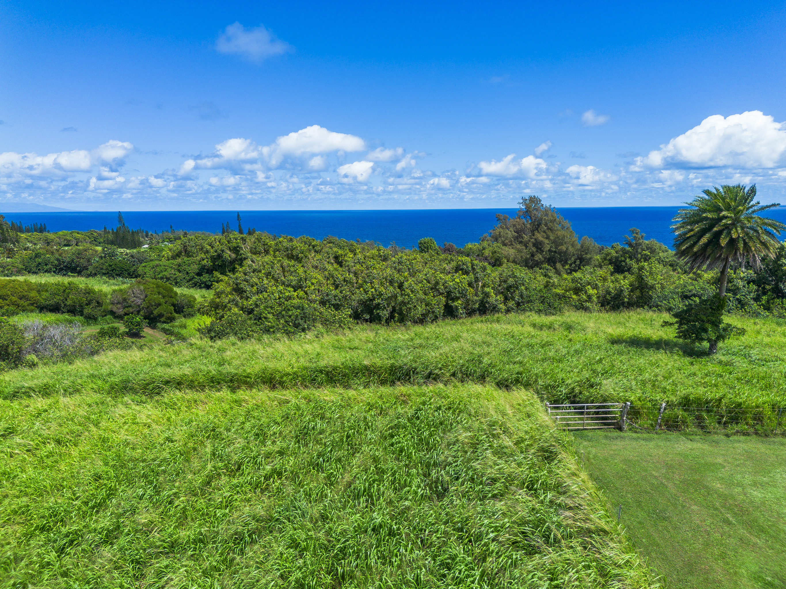 Akoni Pule Highway Property Photo 23