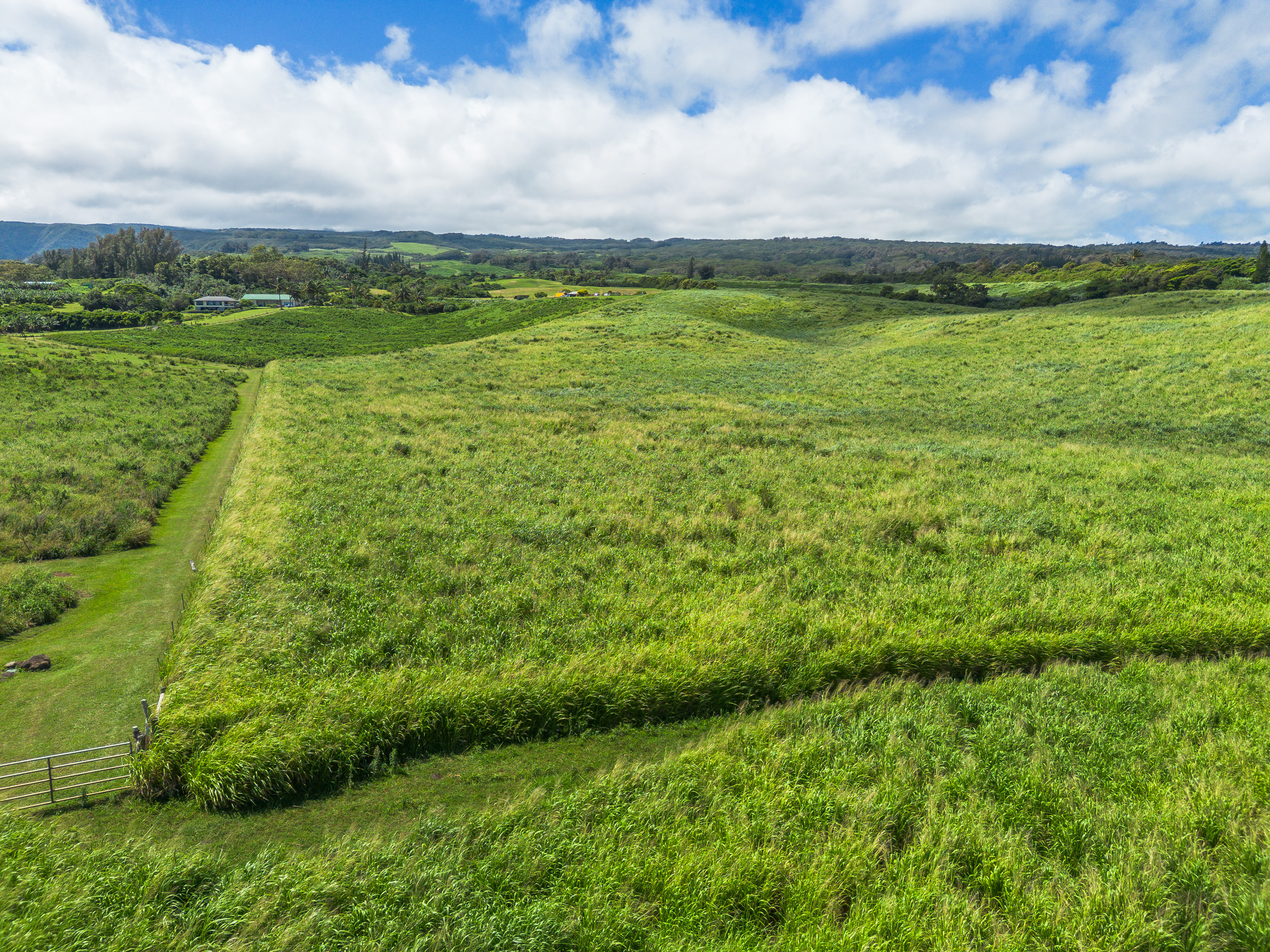 Akoni Pule Highway Property Photo 24