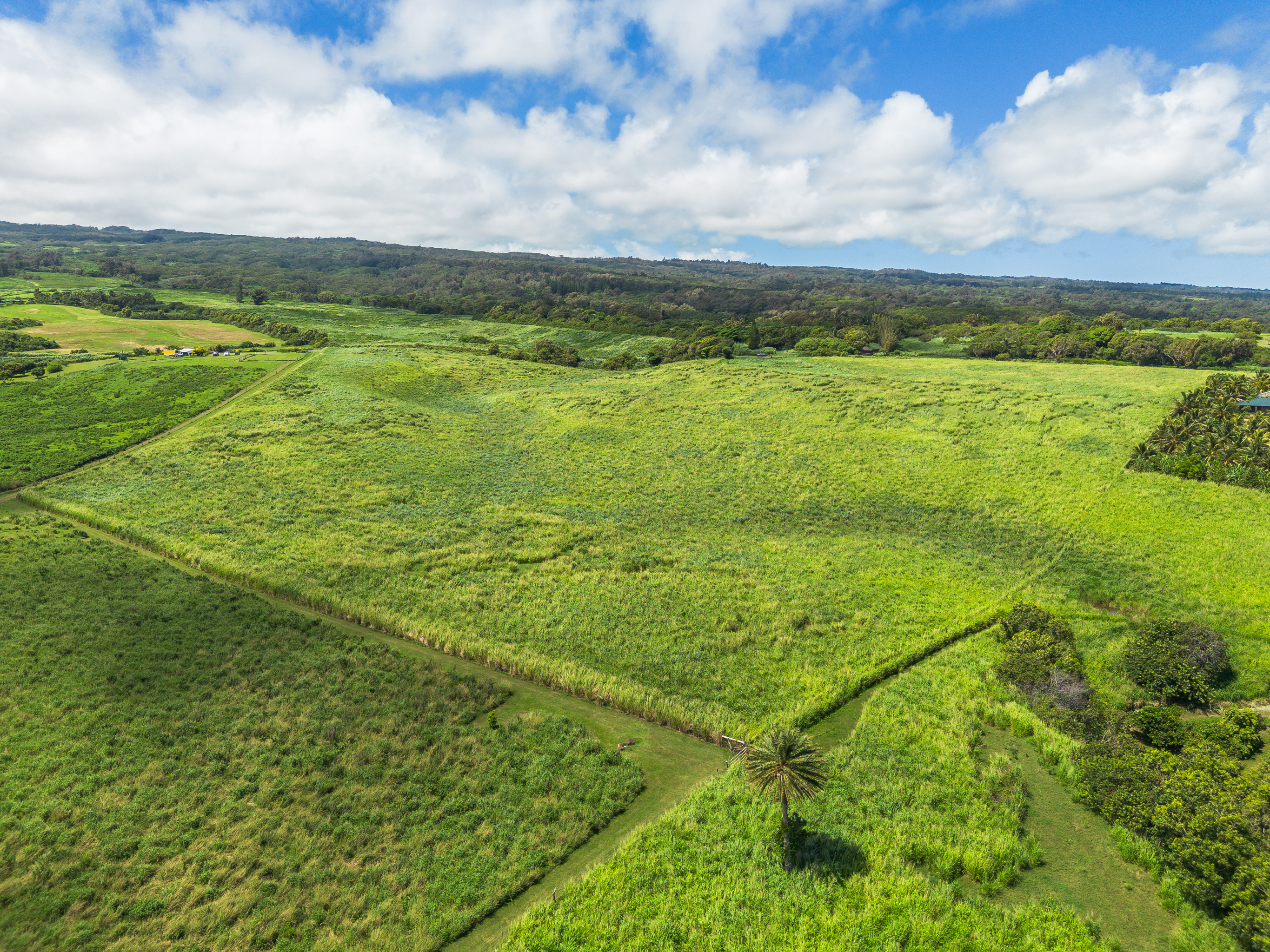 Akoni Pule Highway Property Photo 25