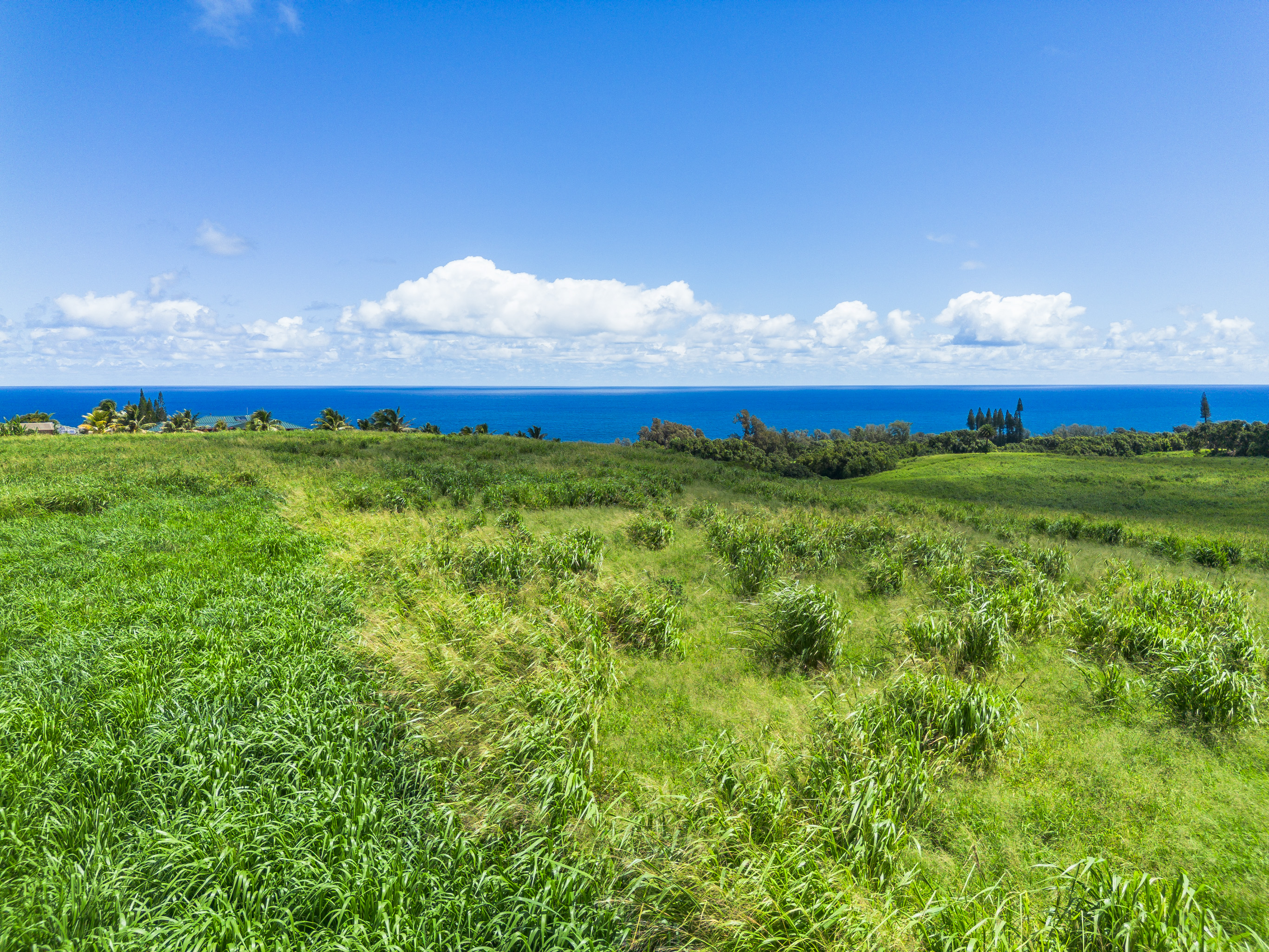 Akoni Pule Highway Property Photo 26