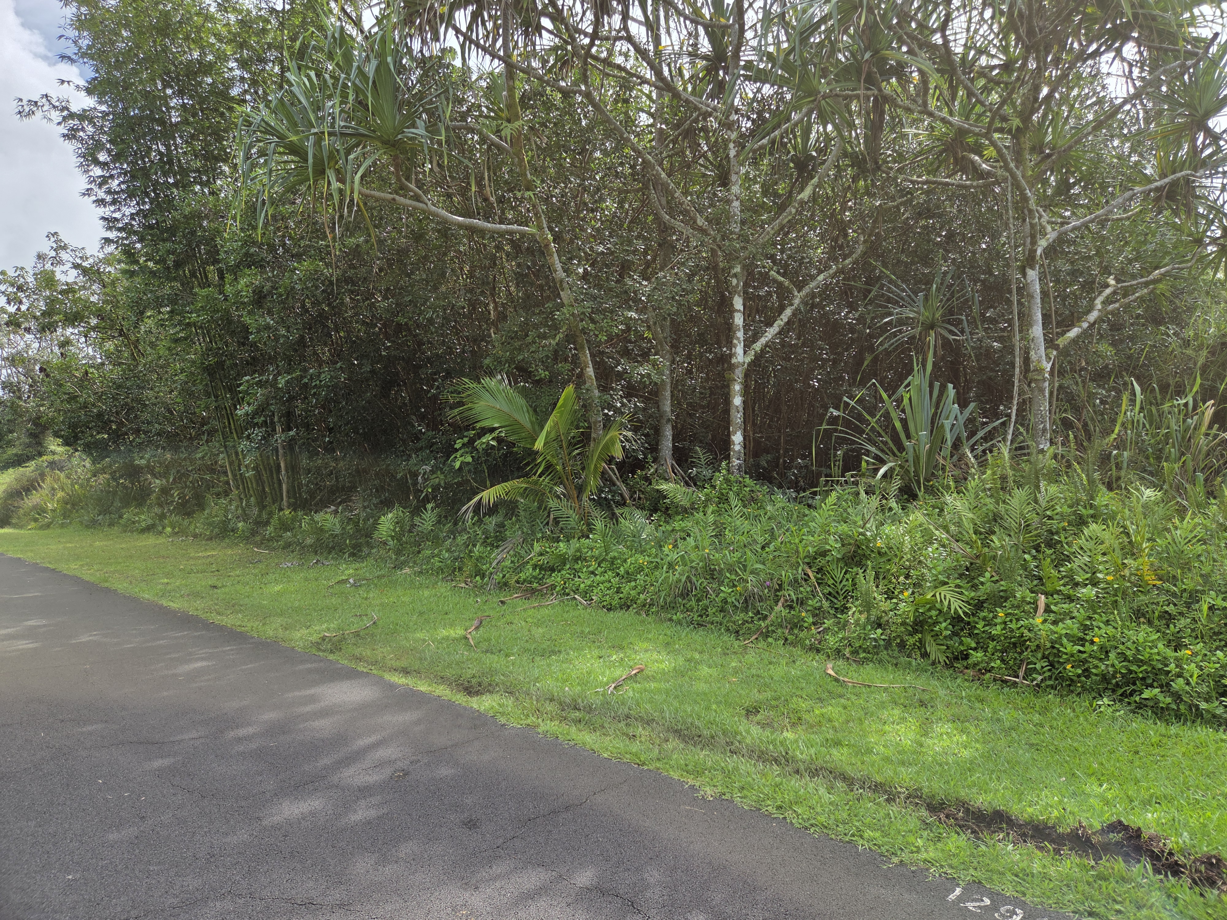 15-2782 Moi St Property Photo 10