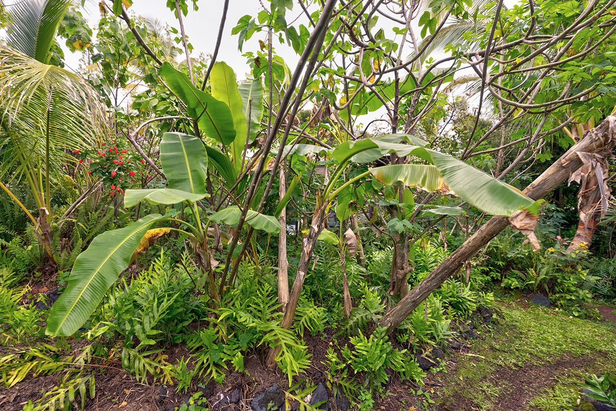 Mapuana Ave Lot 155 Property Photo 20