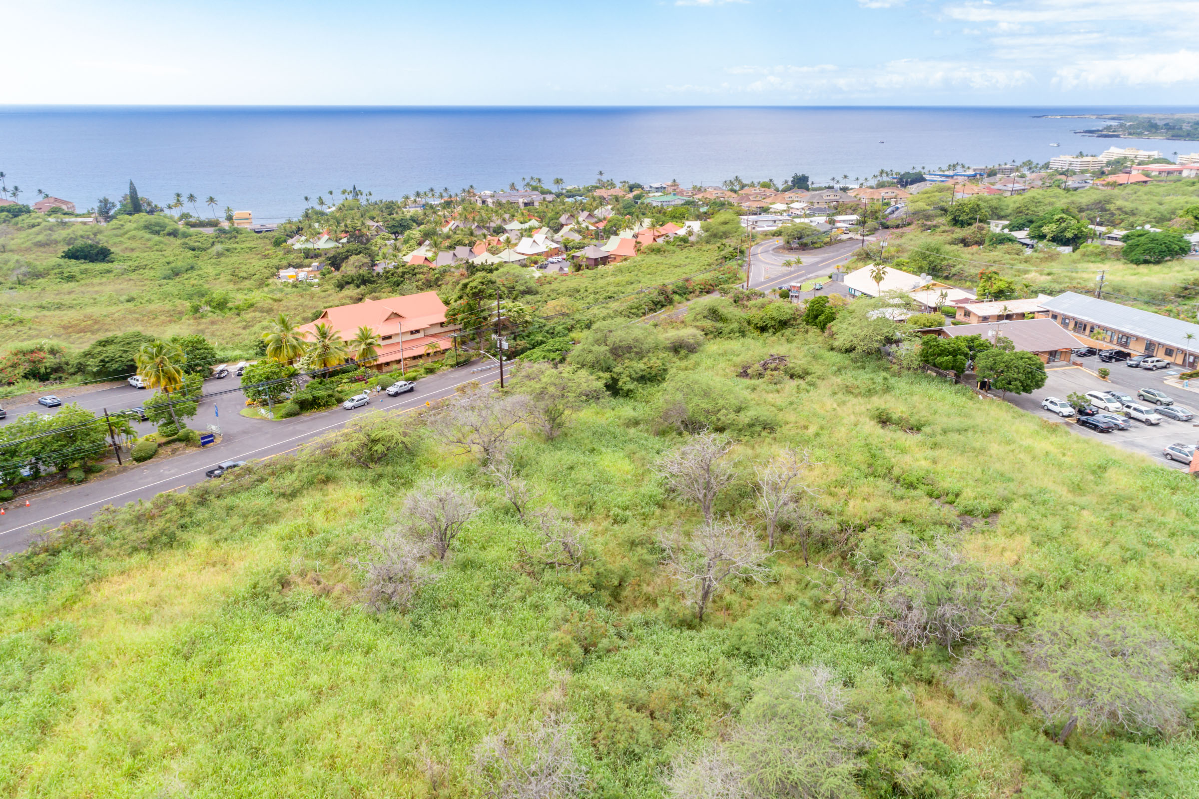 Kuakini Property Photo 13