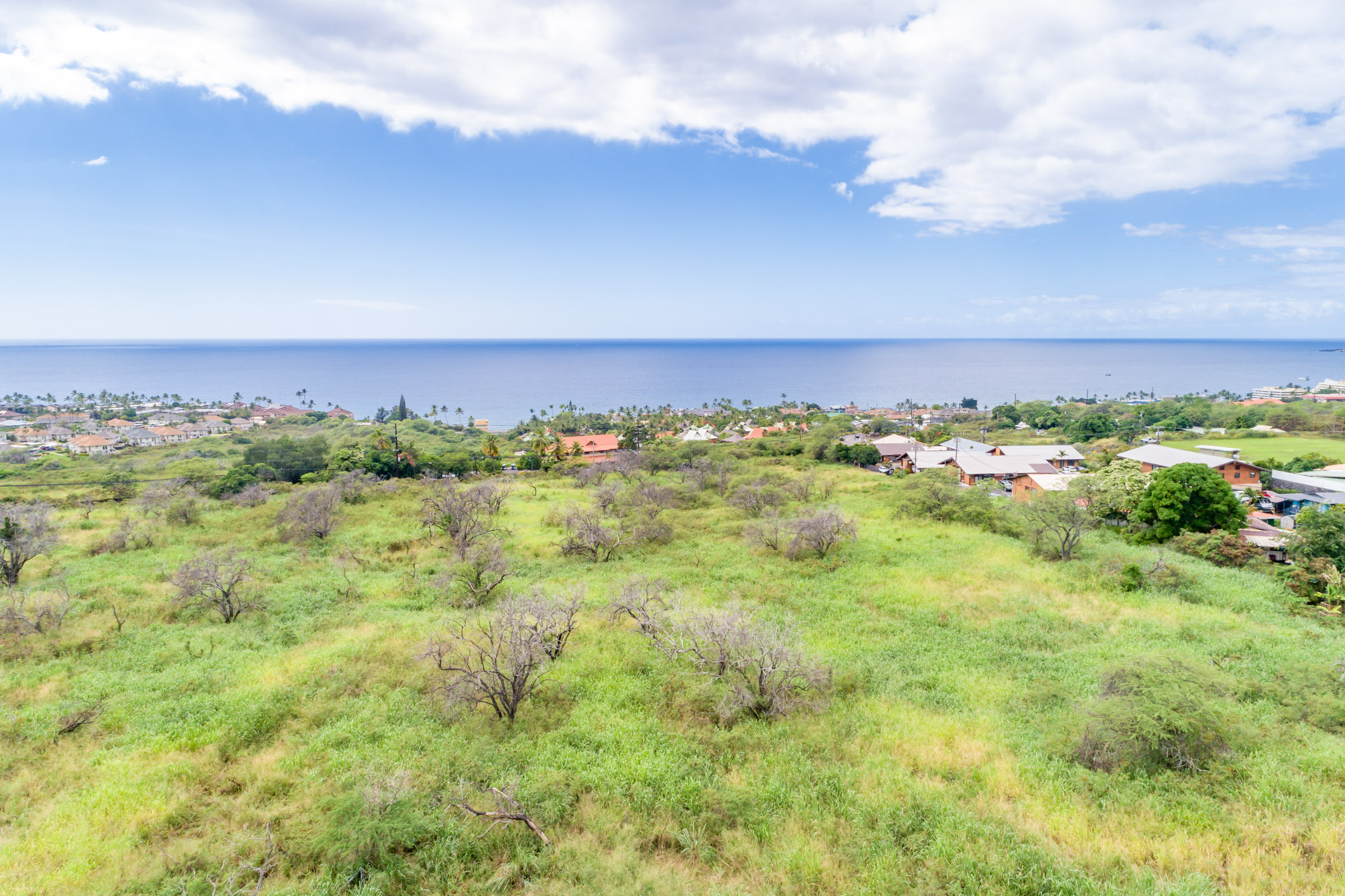 Kuakini Property Photo 19