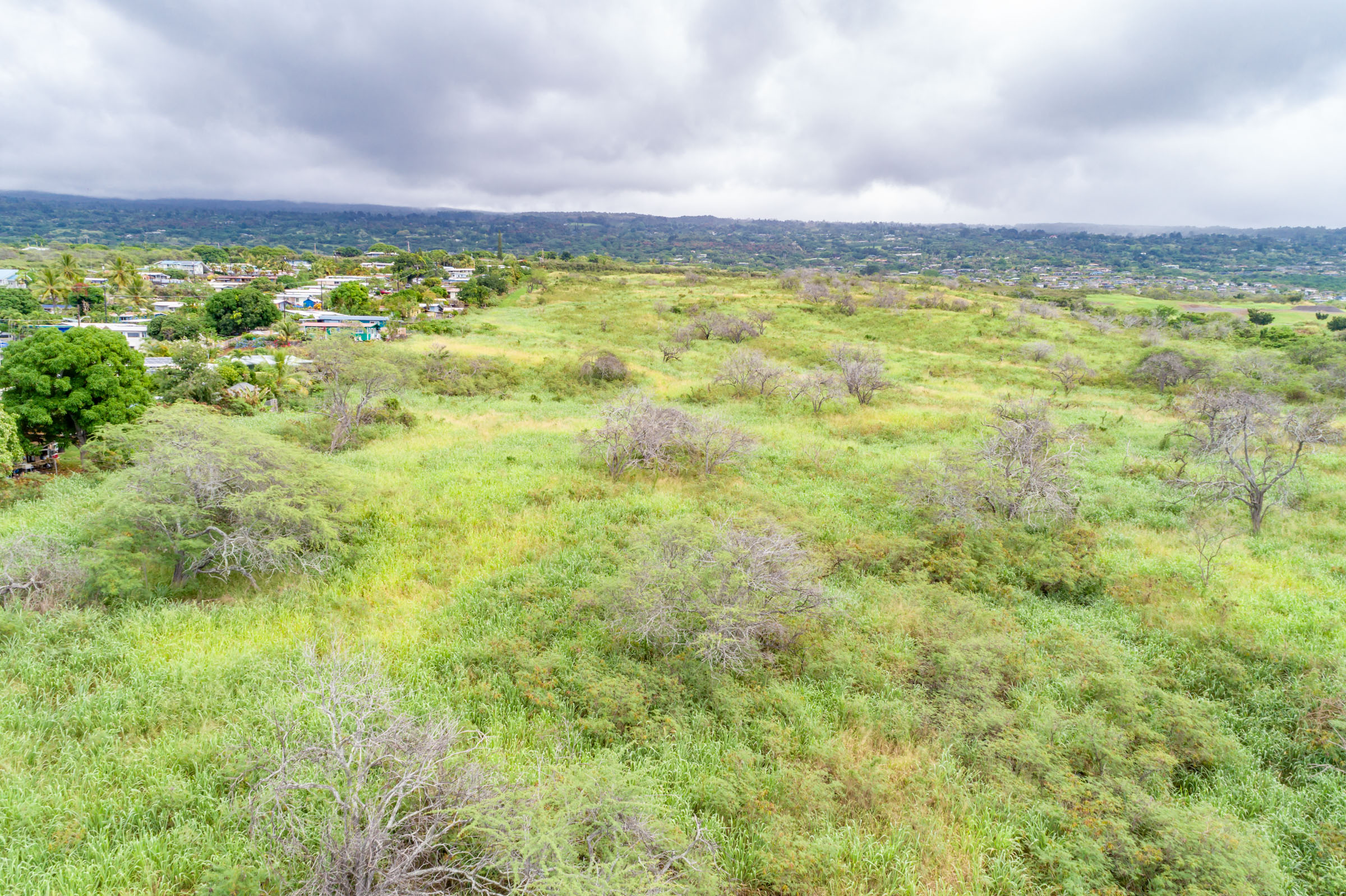 Kuakini Property Photo 20