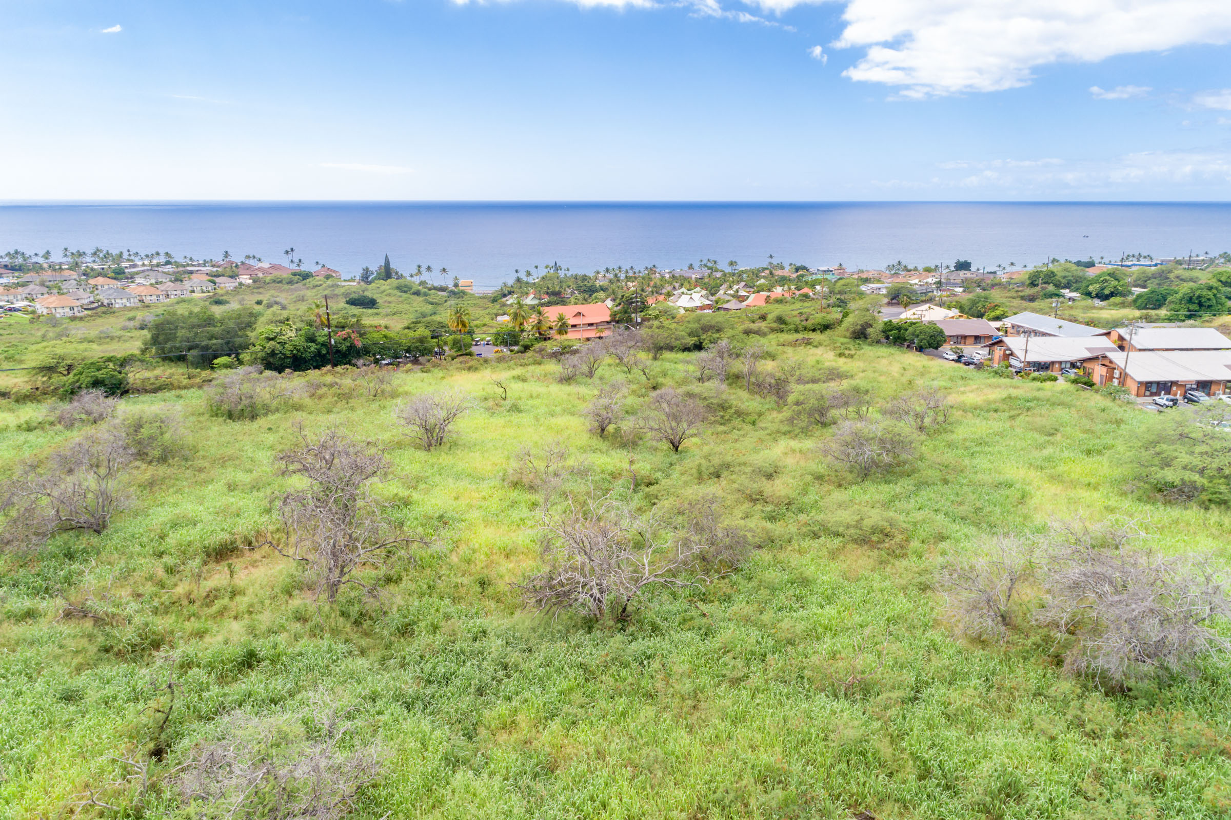 Kuakini Property Photo 21