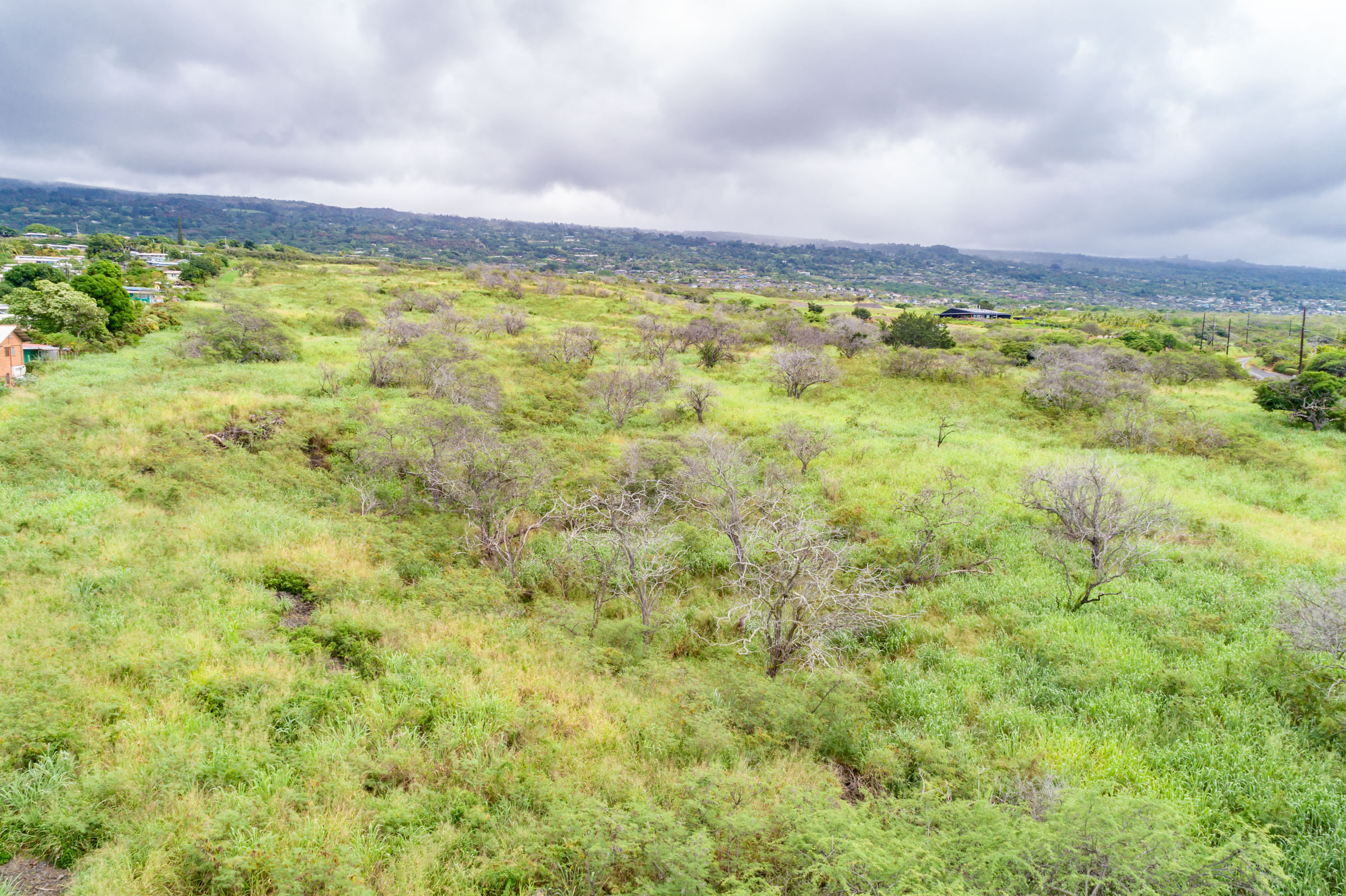 Kuakini Property Photo 23