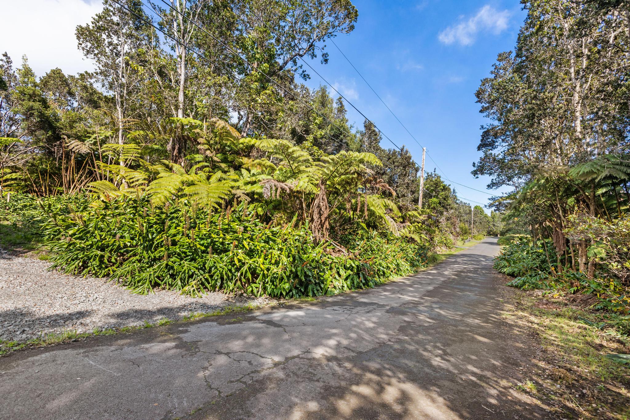 Kilinoe St Property Photo 2