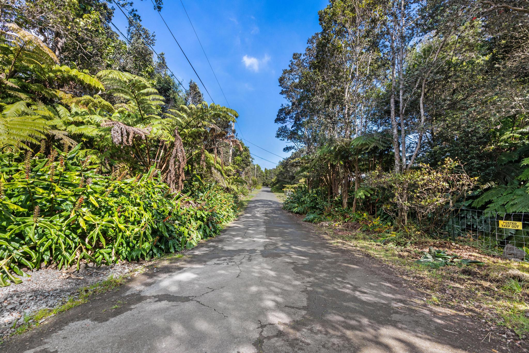 Kilinoe St Property Photo 3