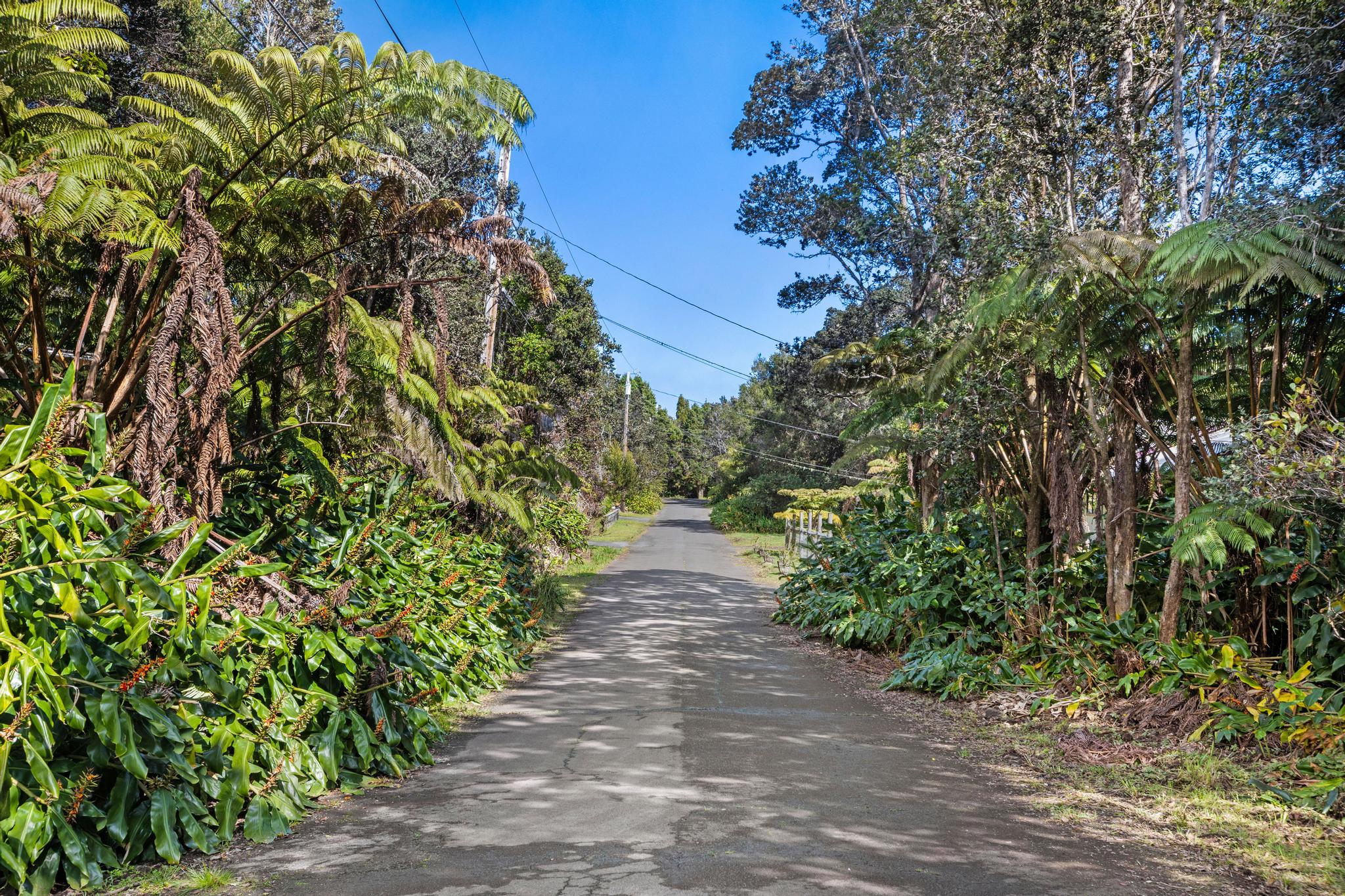 Kilinoe St Property Photo 4