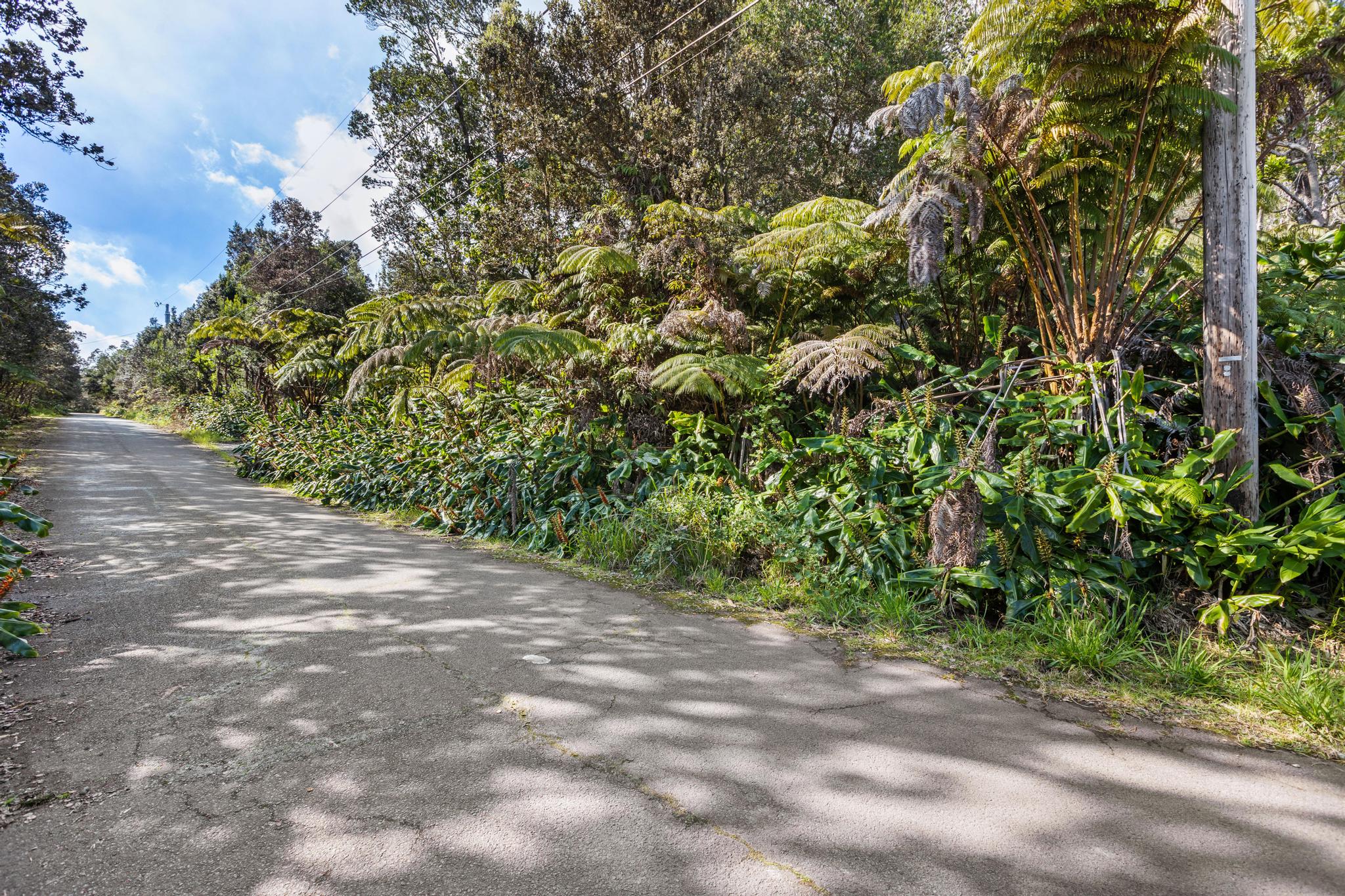 Kilinoe St Property Photo 5