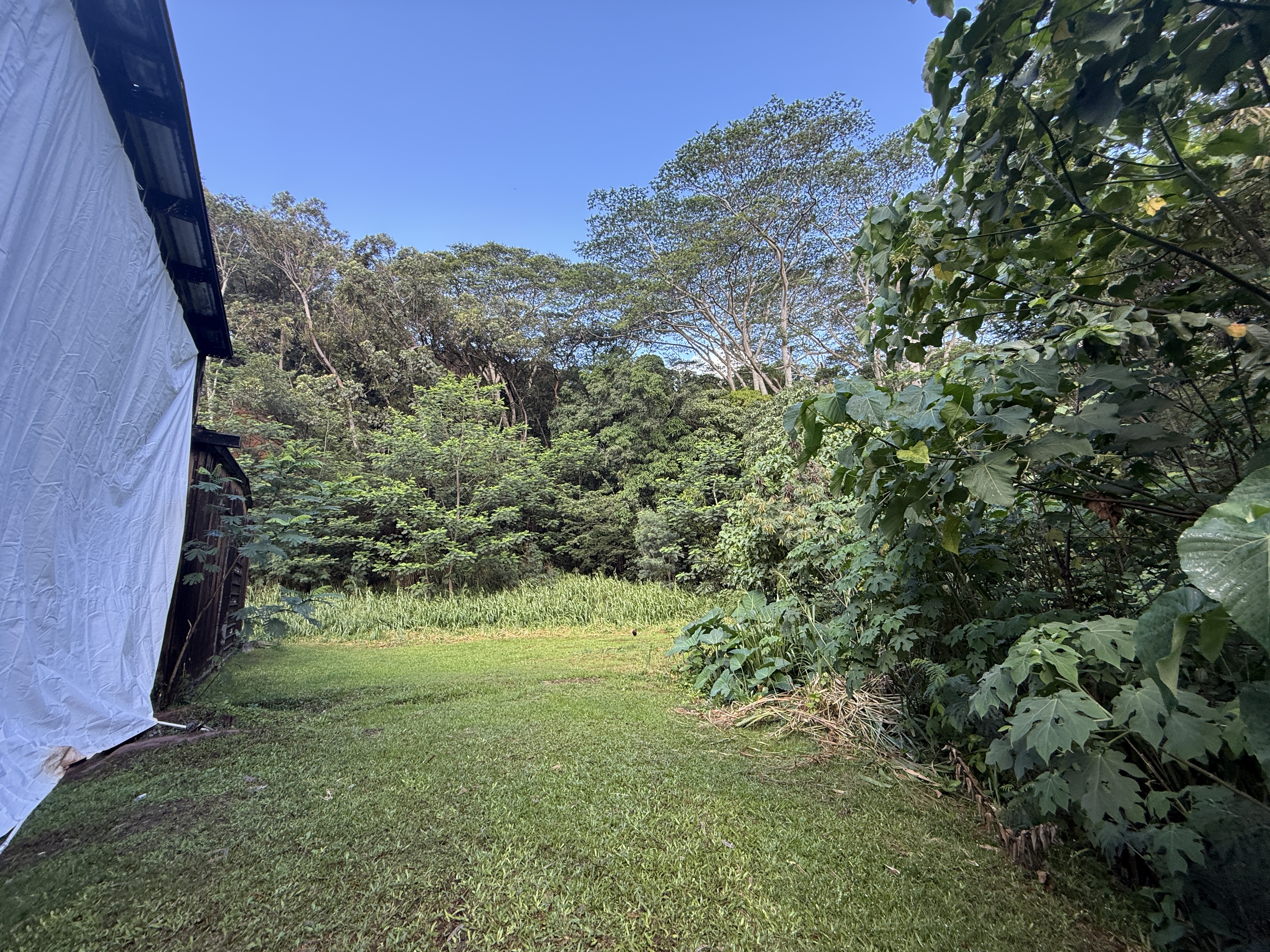 2-2741 Kaumualii Hwy Property Photo 8