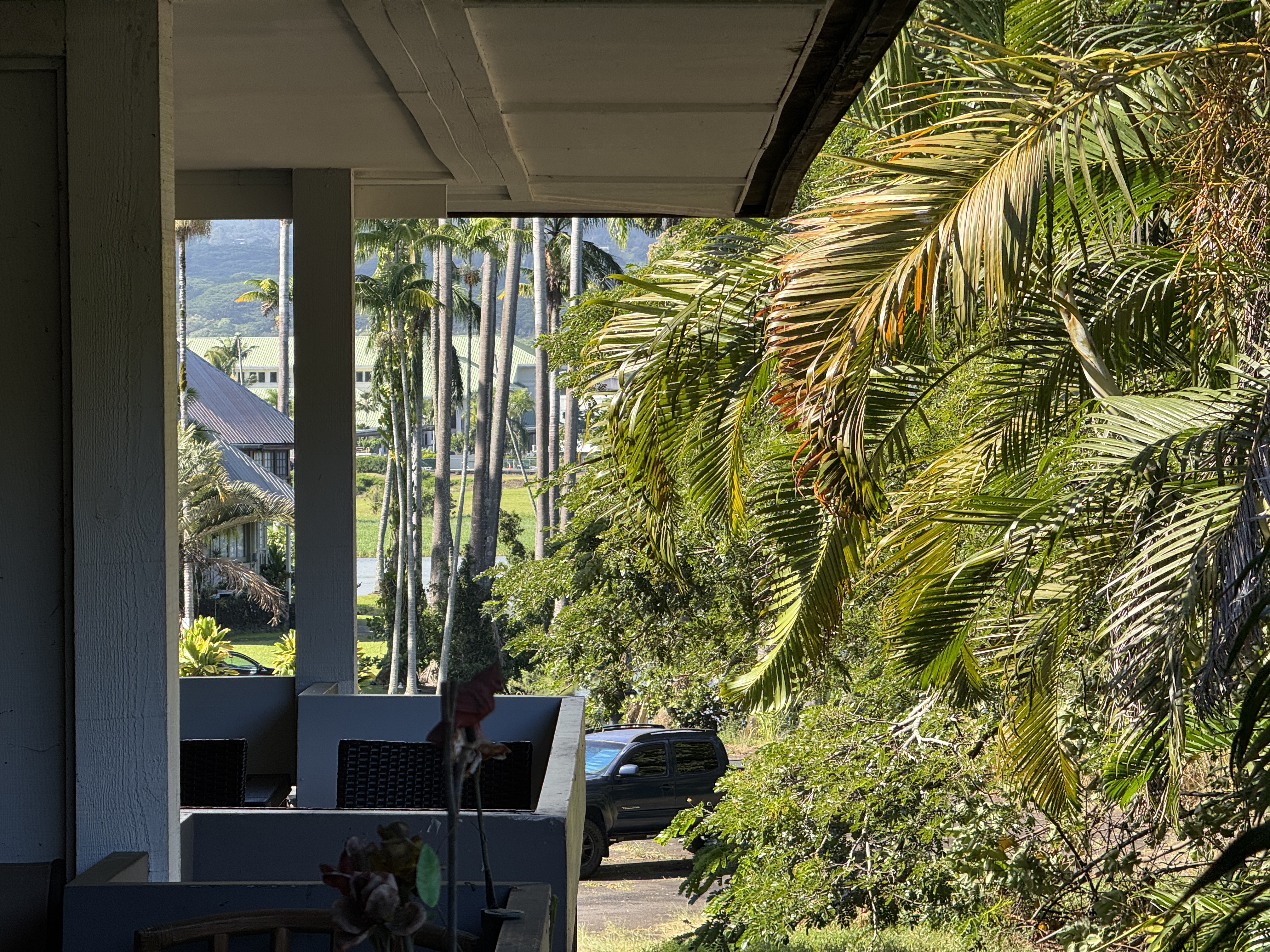 400 Hualani St 3220 Property Photo 21