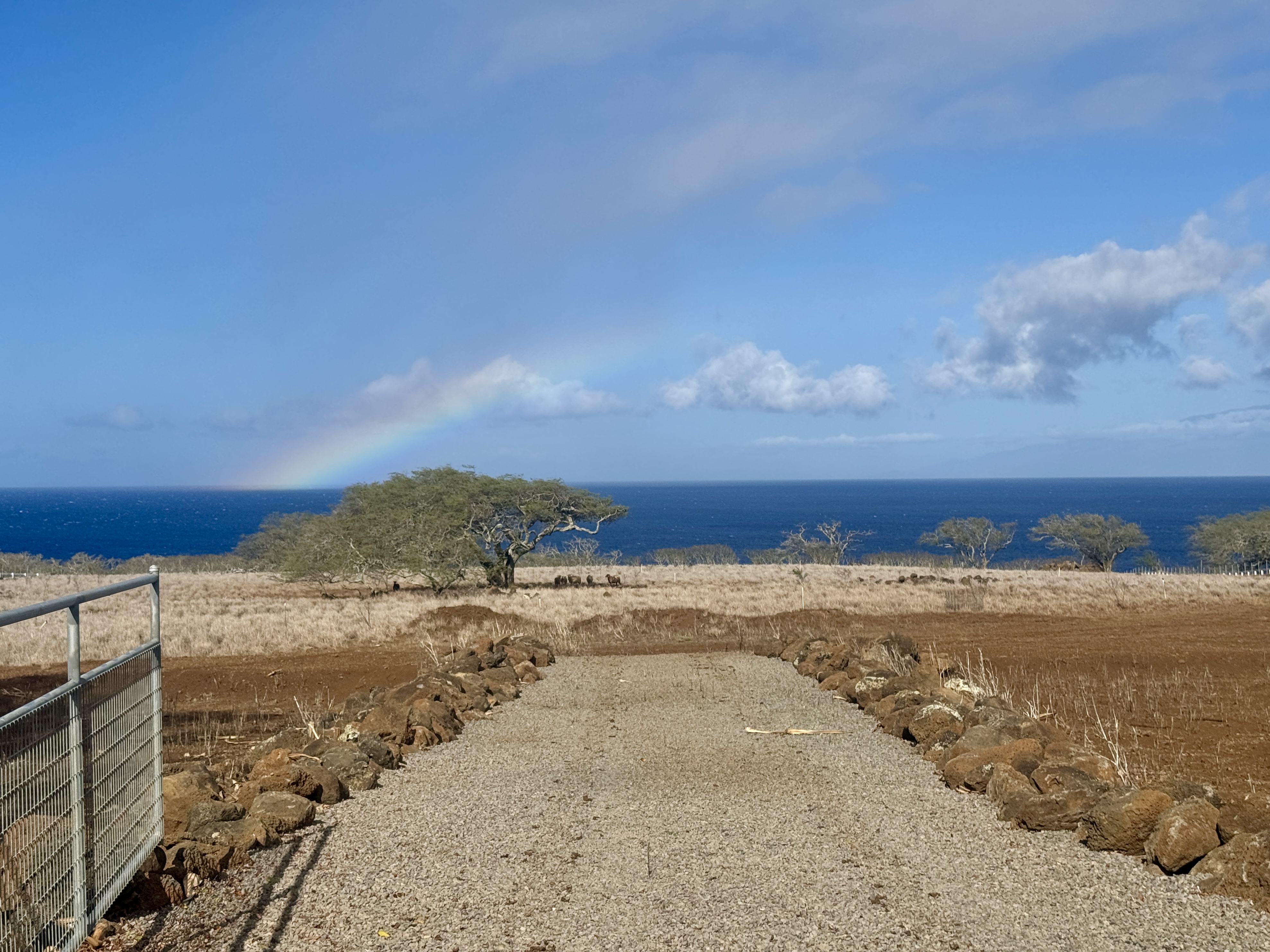 56-2891 Haleakala View Pl Property Photo 5