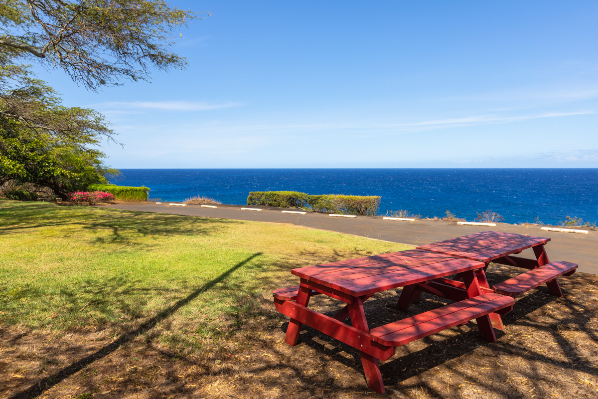 56-2891 Haleakala View Pl Property Photo 6
