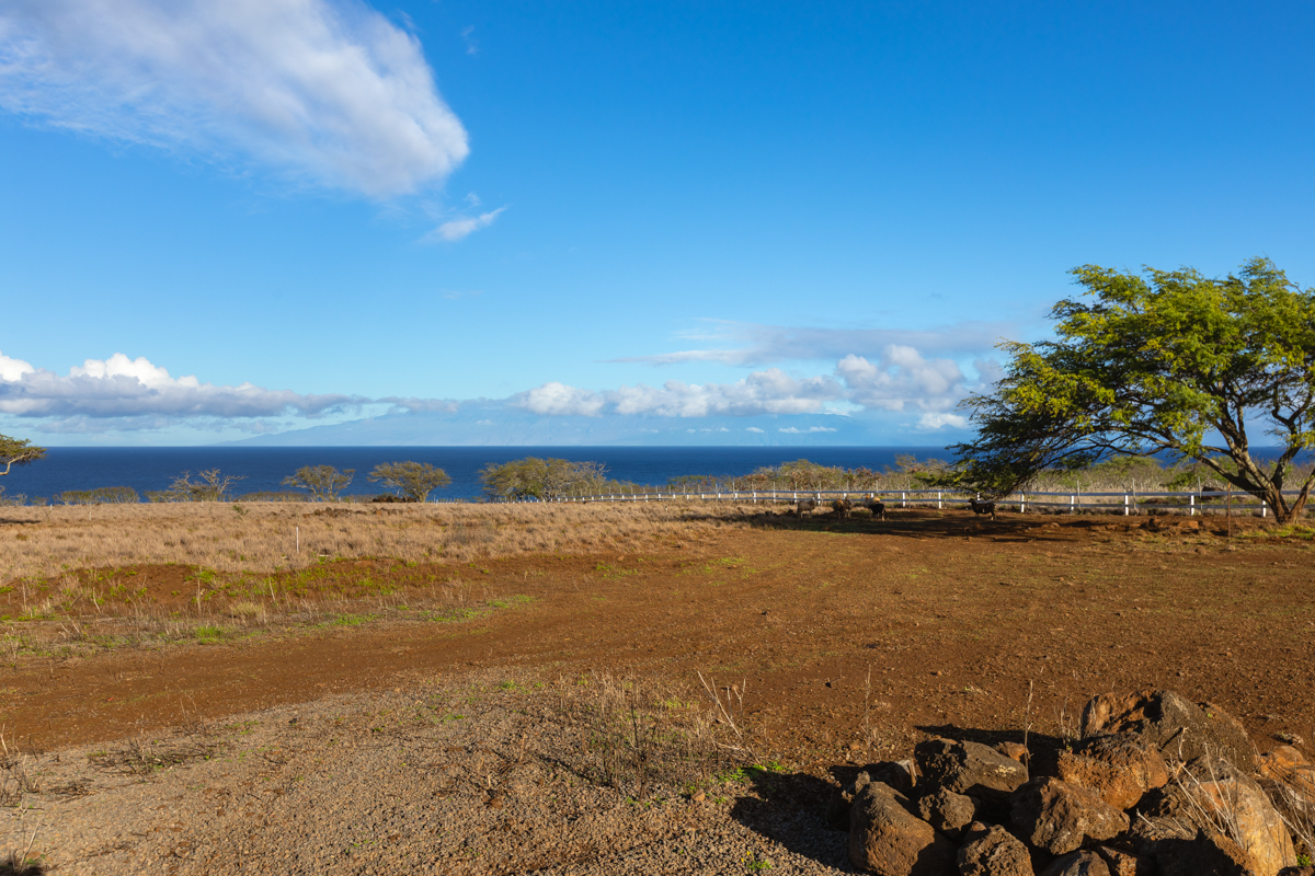 56-2891 Haleakala View Pl Property Photo 13