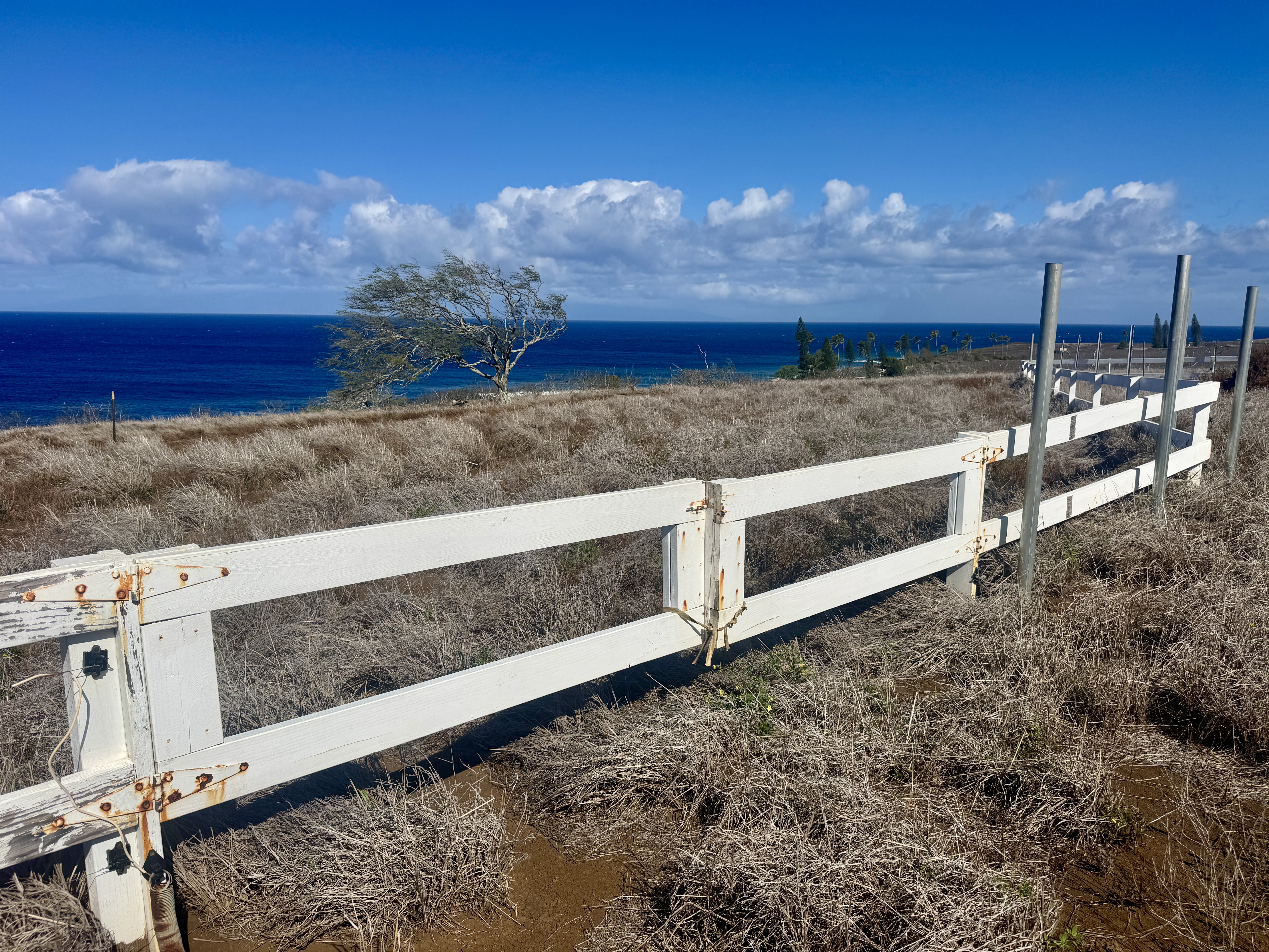 56-2891 Haleakala View Pl Property Photo 17