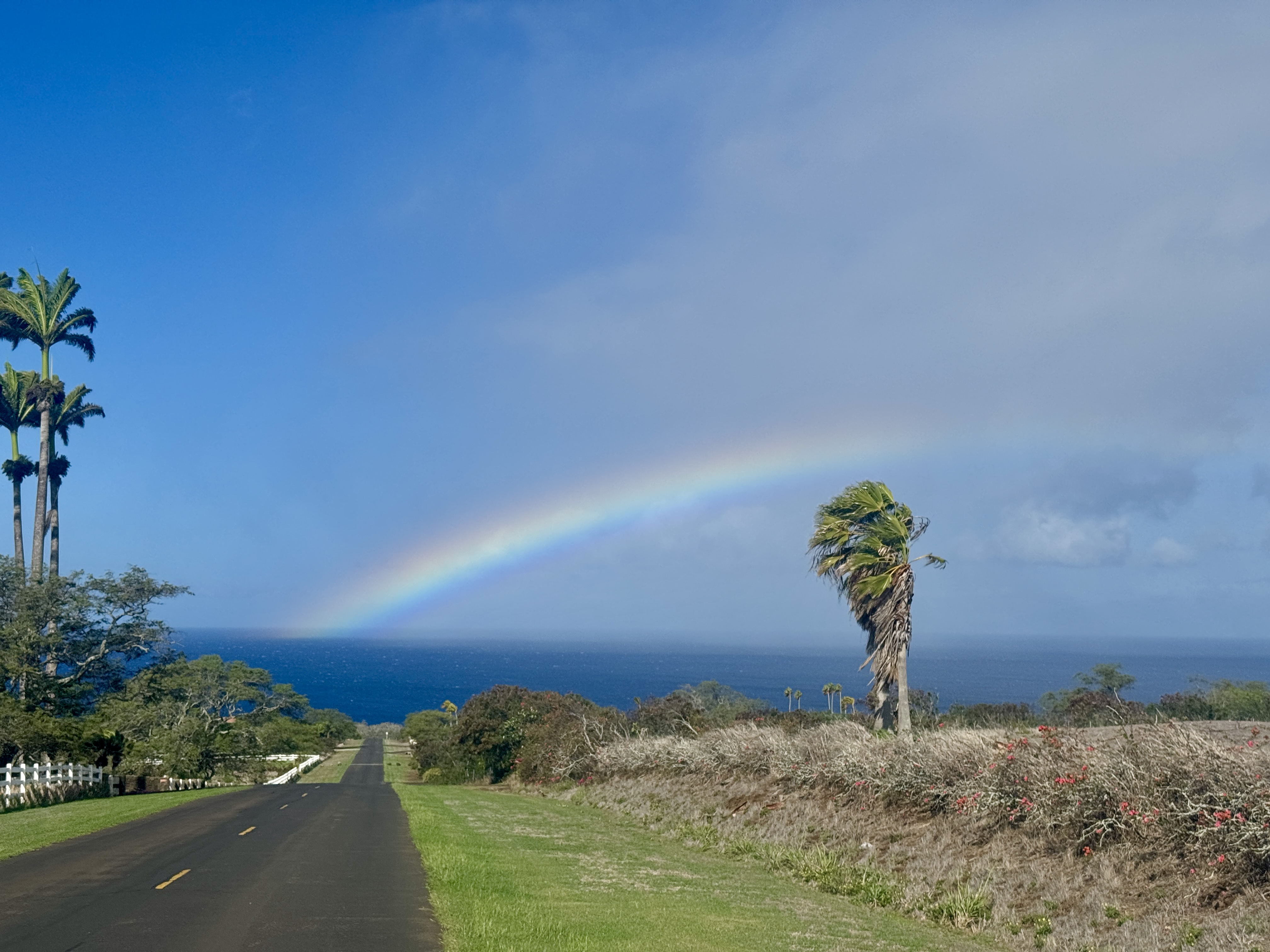 56-2891 Haleakala View Pl Property Photo 25