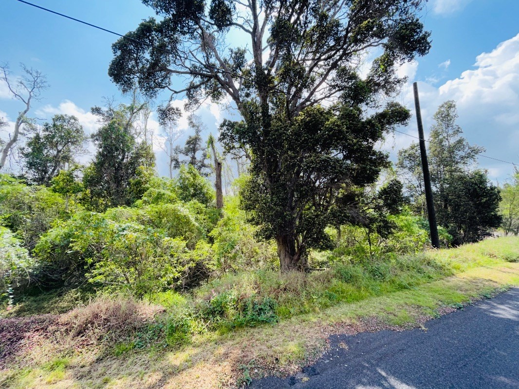 Mahimahi Dr Property Photo 2