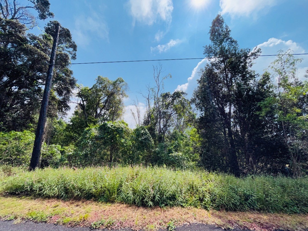 Mahimahi Dr Property Photo 6