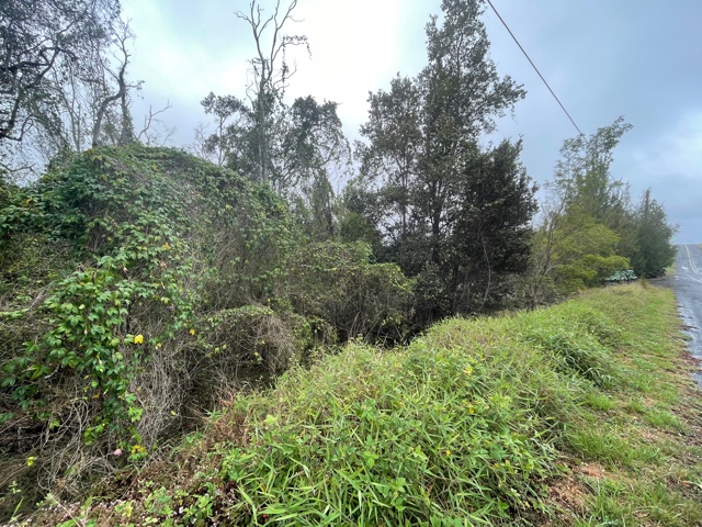 Mahimahi Dr Property Photo 8