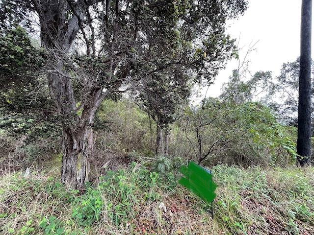 Mahimahi Dr Property Photo 10